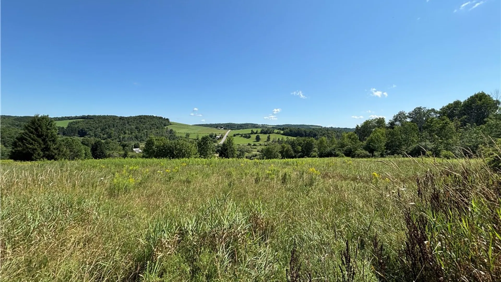 Property at Lot 20.111 Billings Hill Road Road, Lebanon, NY 13334 11