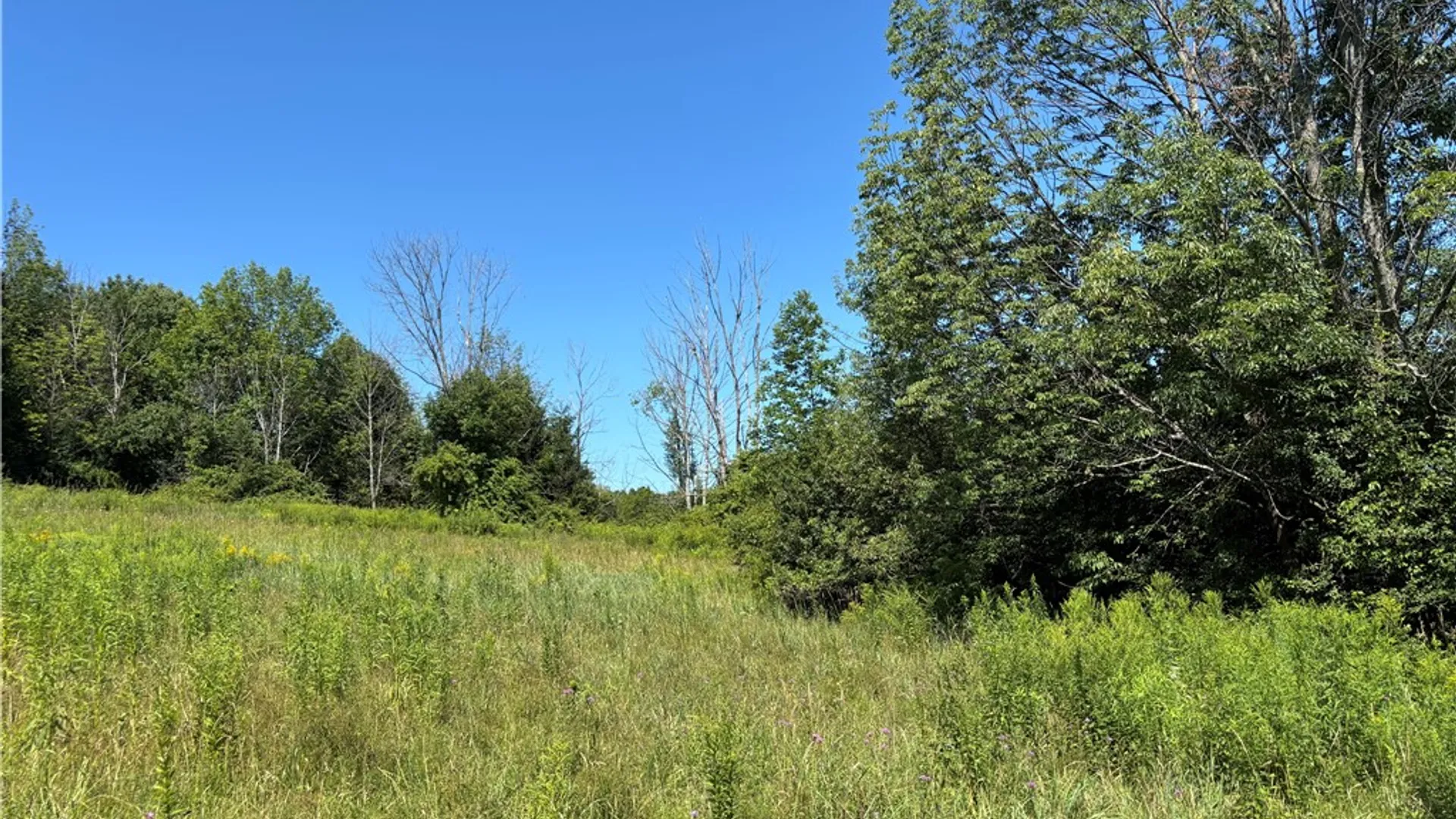 Property at Lot 20.111 Billings Hill Road Road, Lebanon, NY 13334 12