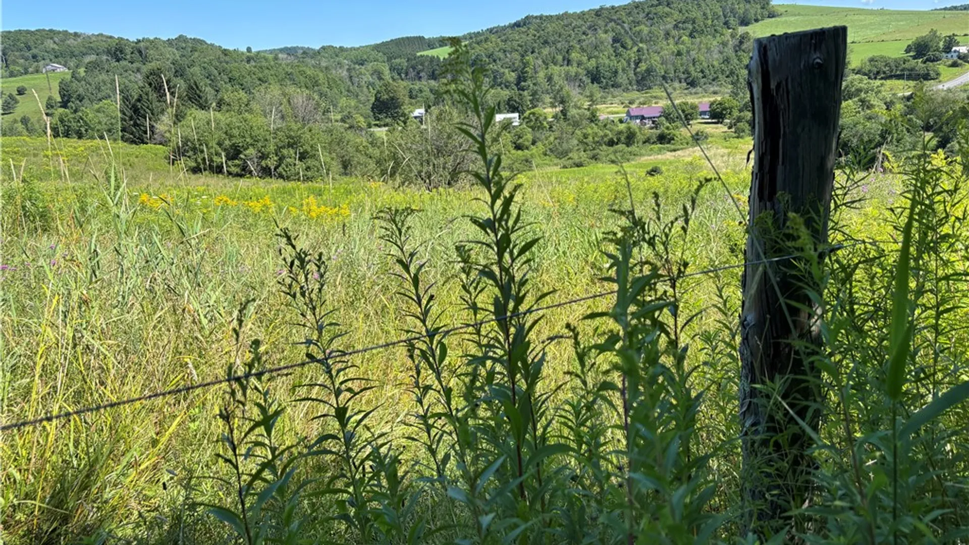 Property at Lot 20.111 Billings Hill Road Road, Lebanon, NY 13334 13