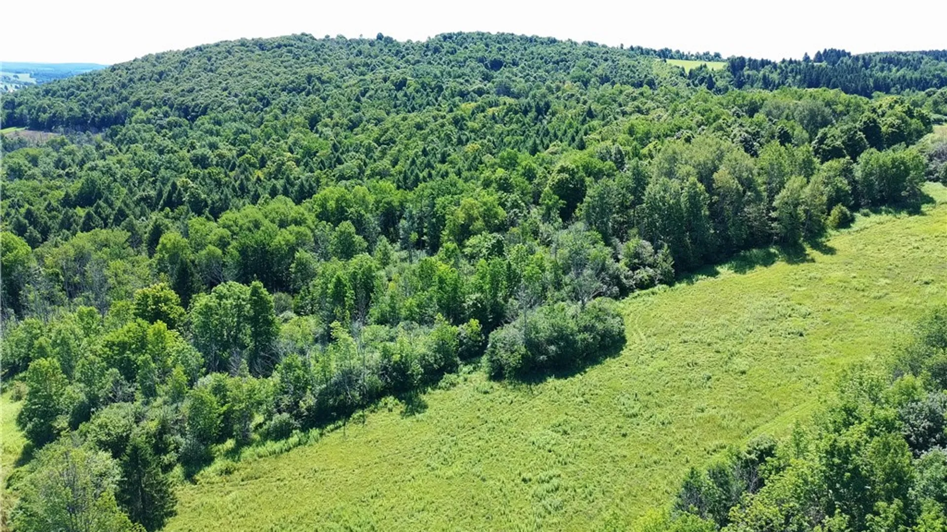 Property at Lot 20.111 Billings Hill Road Road, Lebanon, NY 13334 17
