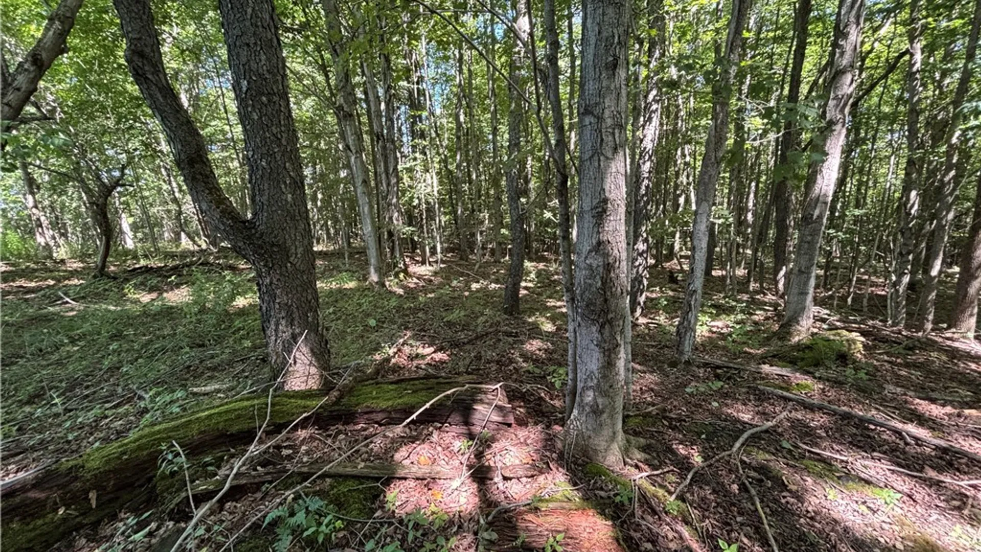 Property at Lot 20.111 Billings Hill Road Road, Lebanon, NY 13334 19