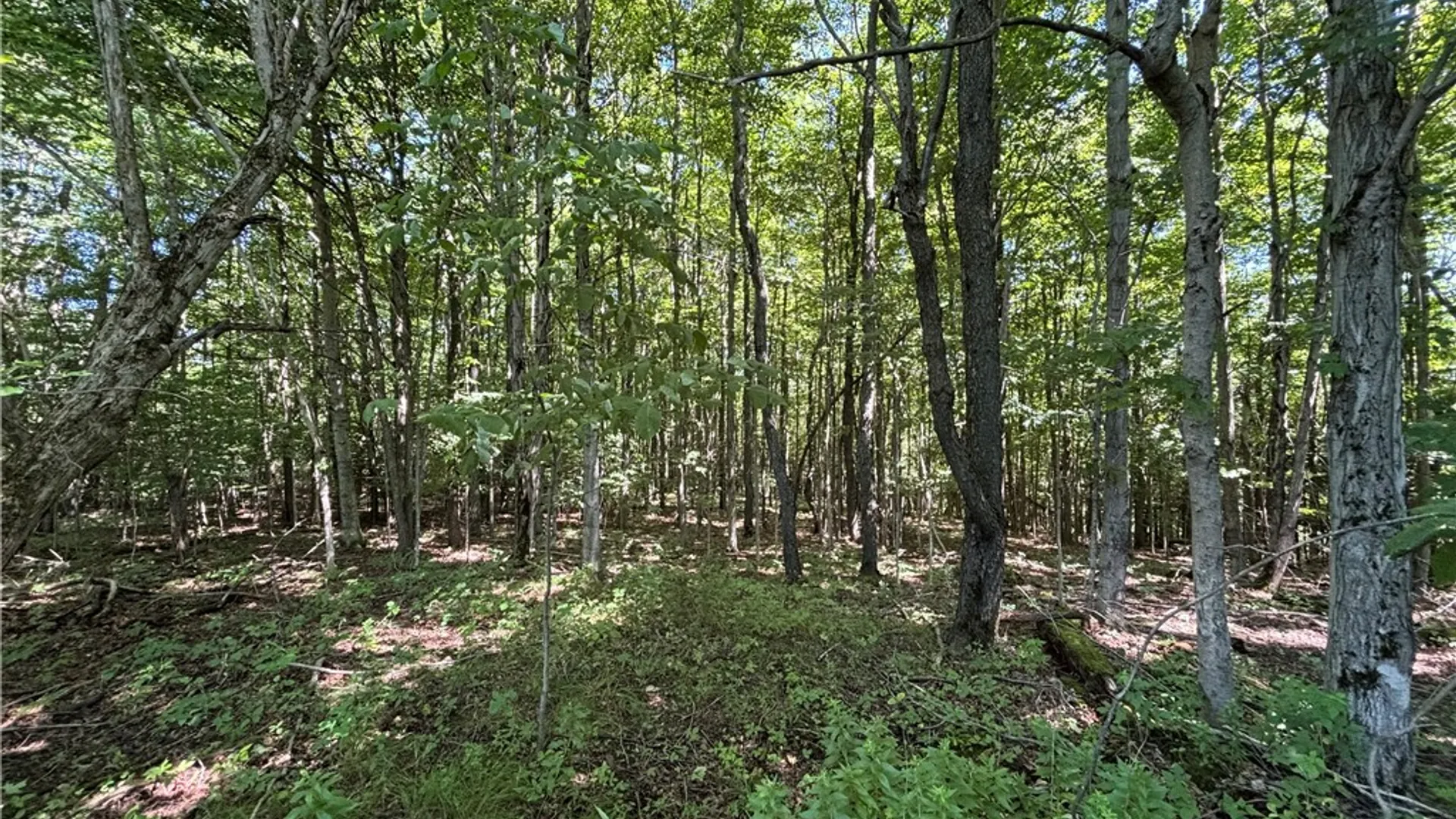 Property at Lot 20.111 Billings Hill Road Road, Lebanon, NY 13334 20