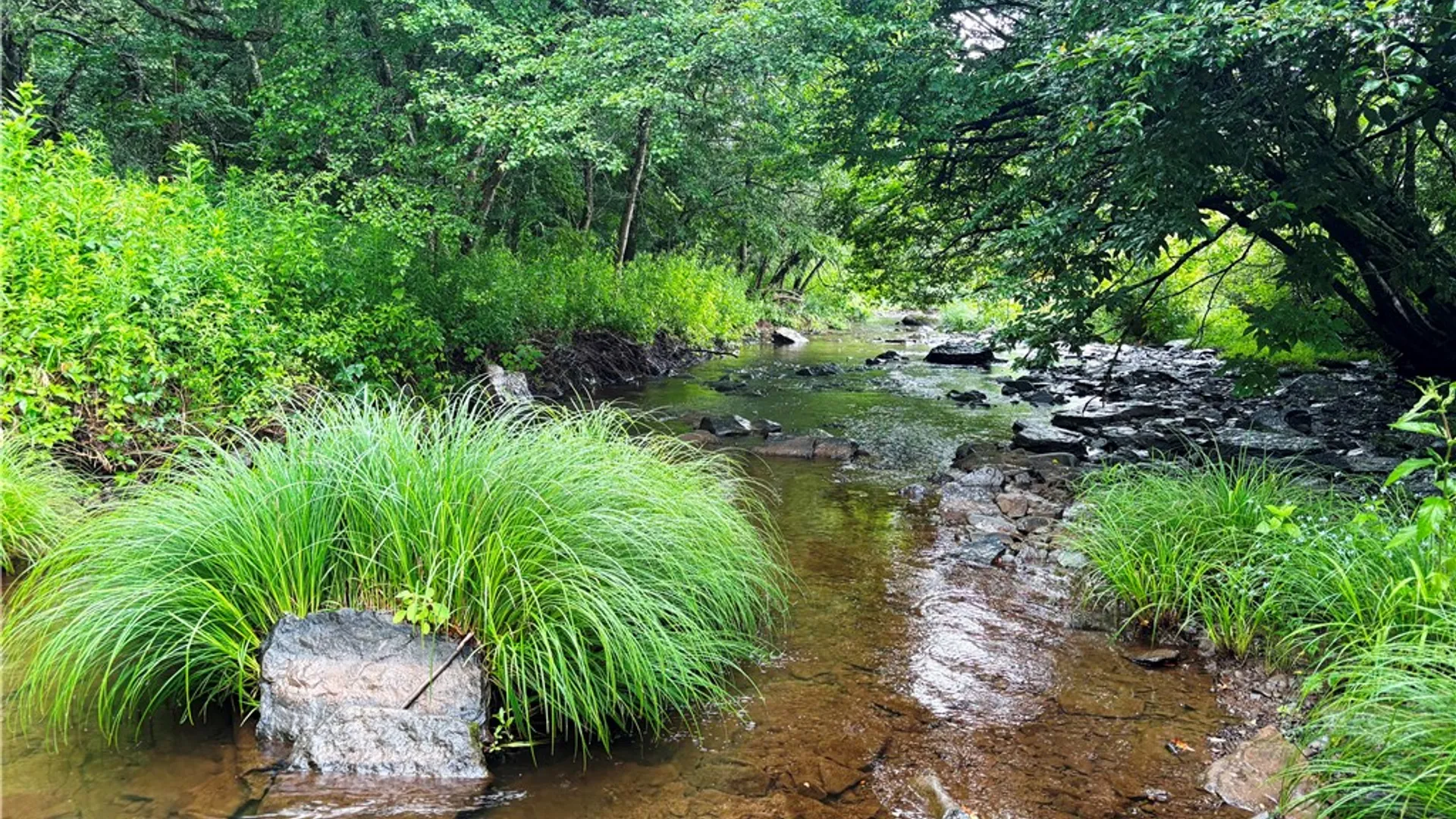 Property at Lot 20.111 Billings Hill Road Road, Lebanon, NY 13334 9