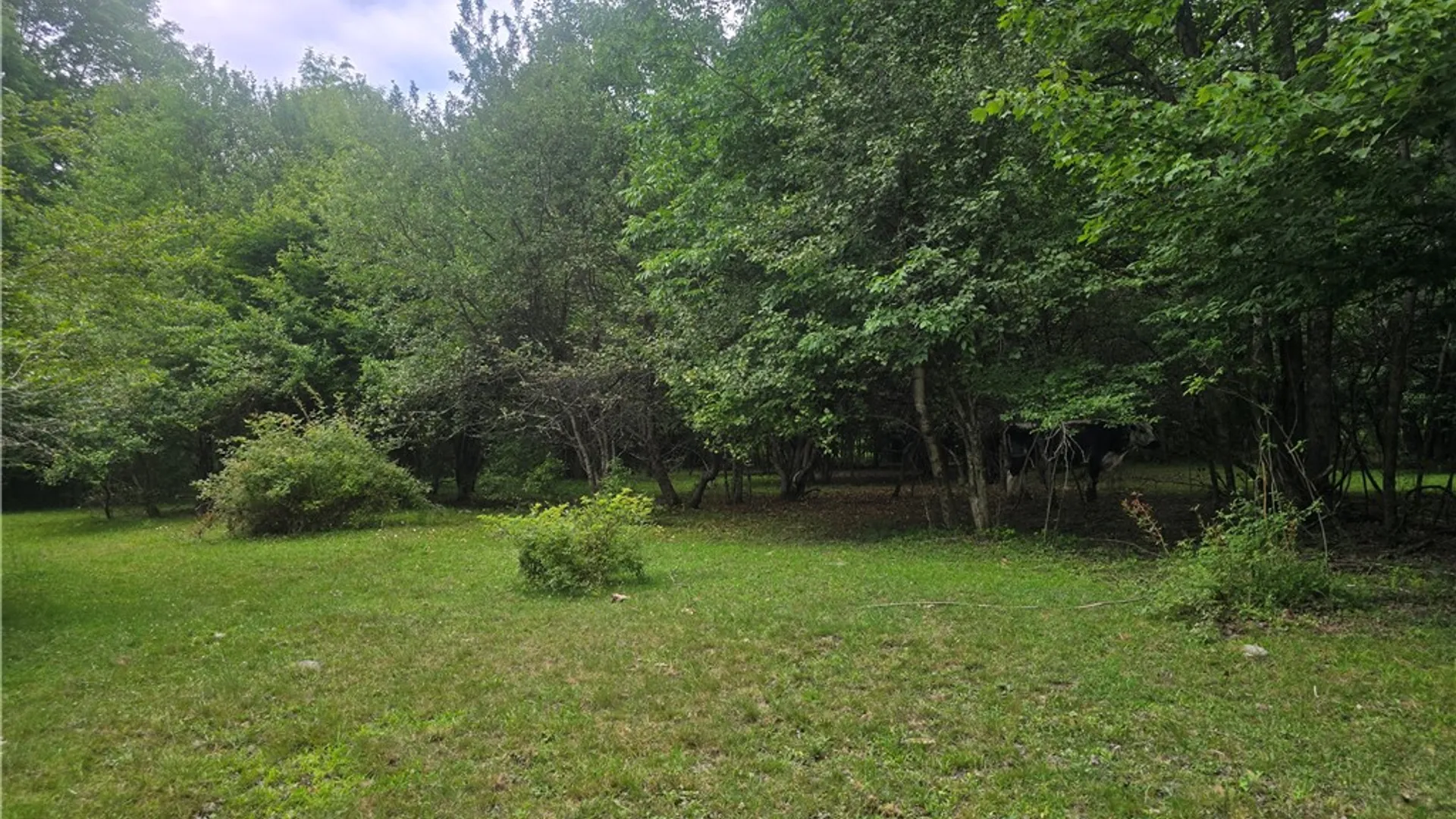 Property at 304 Watrus Road, Greene, NY 13778 8