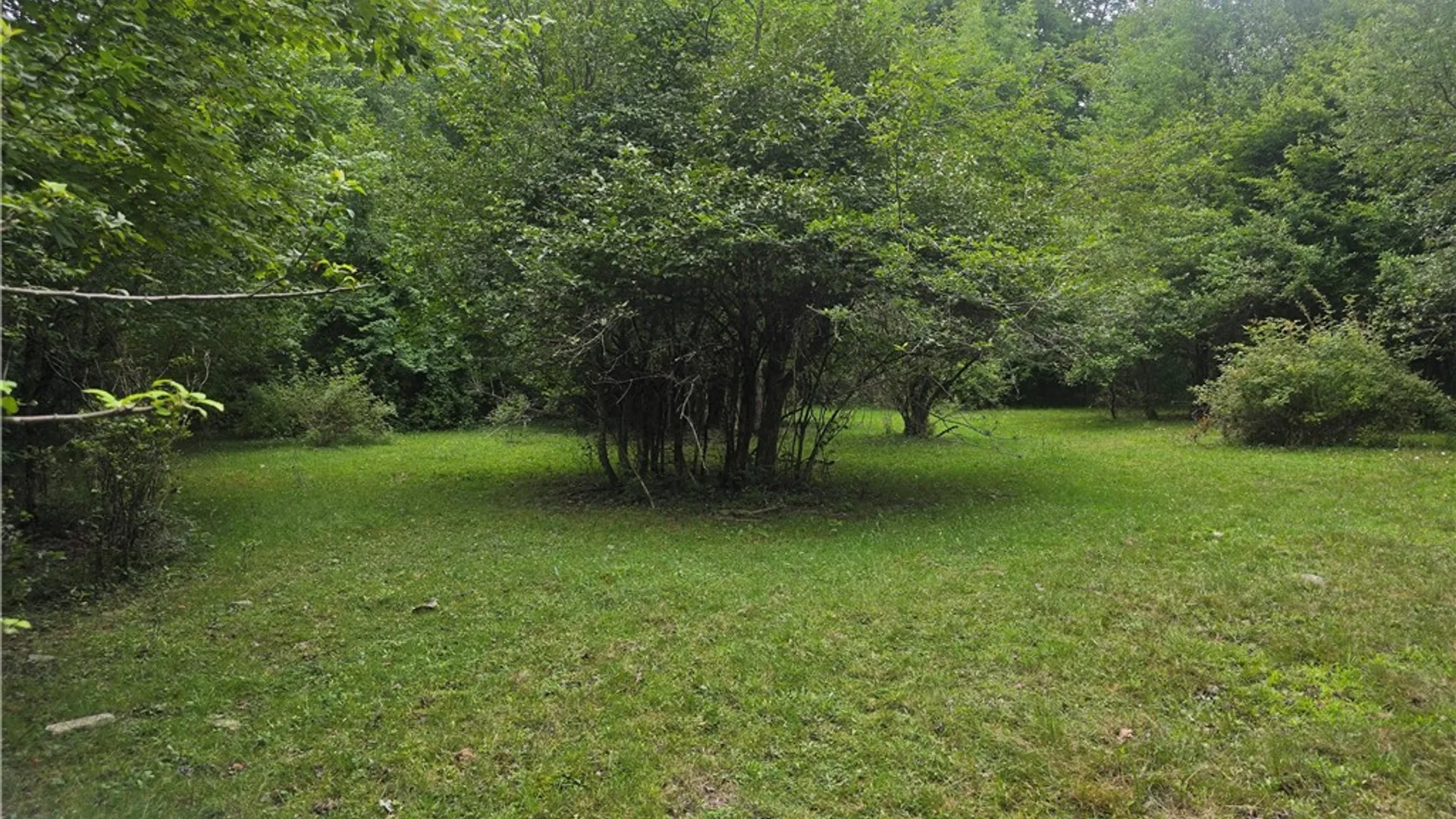 Property at 304 Watrus Road, Greene, NY 13778 10