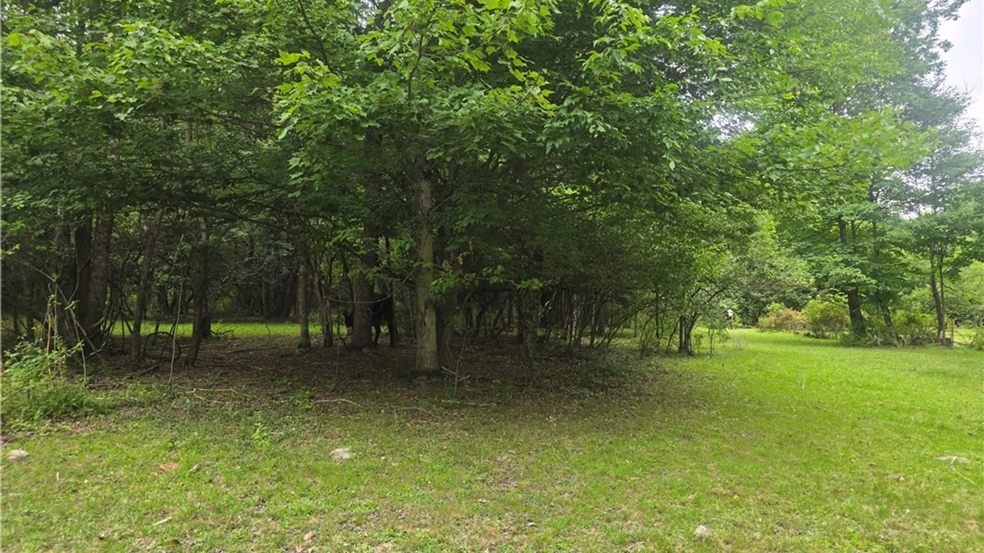 Property at 304 Watrus Road, Greene, NY 13778 9