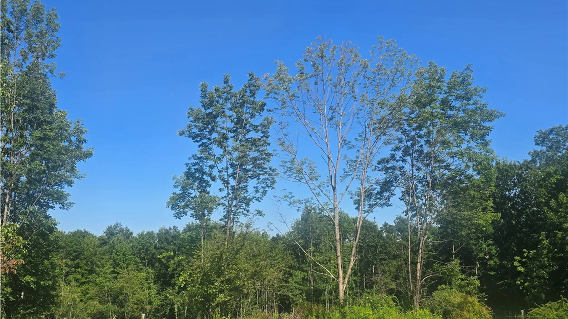 Property at 304 Watrus Road, Greene, NY 13778 46