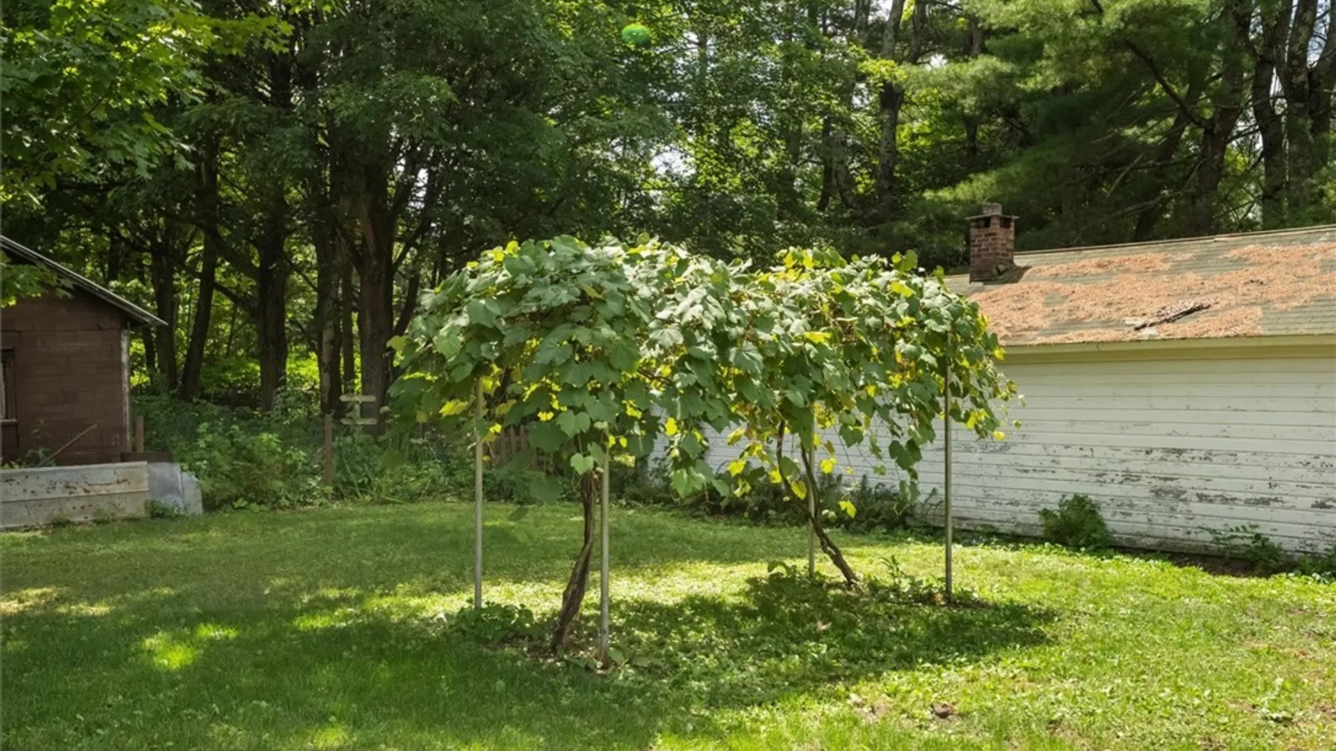 Property at 9248 Main Street, Western, NY 13486 21