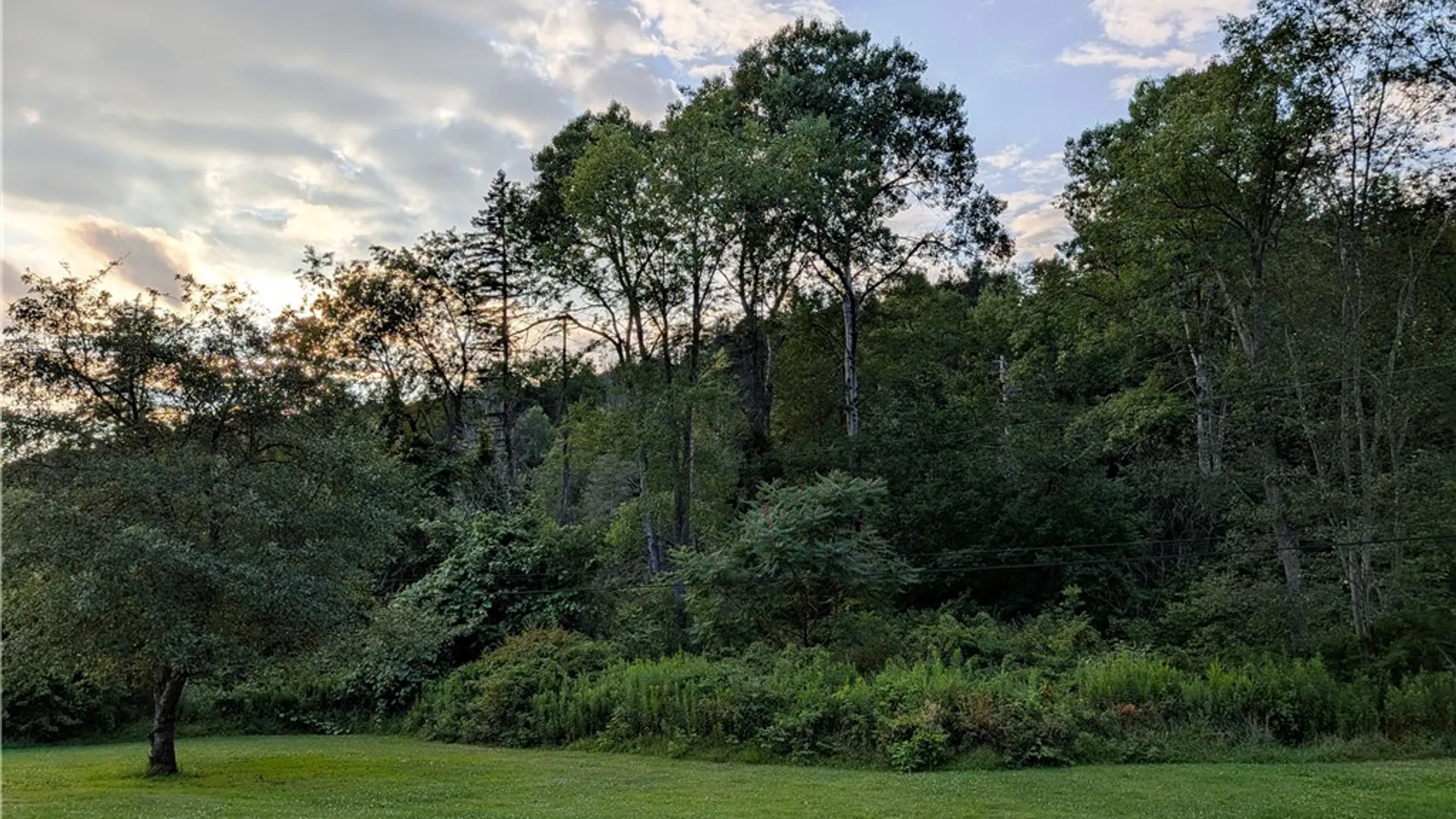Property at 389 Reilly Hollow Road, Keating Town, PA 16749 8