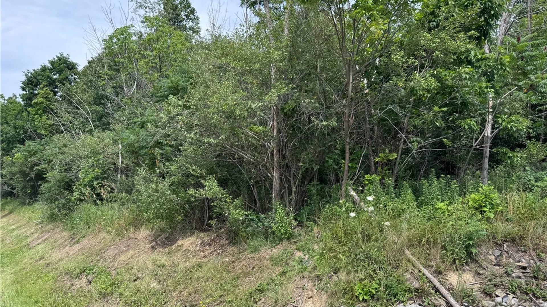 Property at 00 Stagecoach Road, Conesus, NY 14435 21