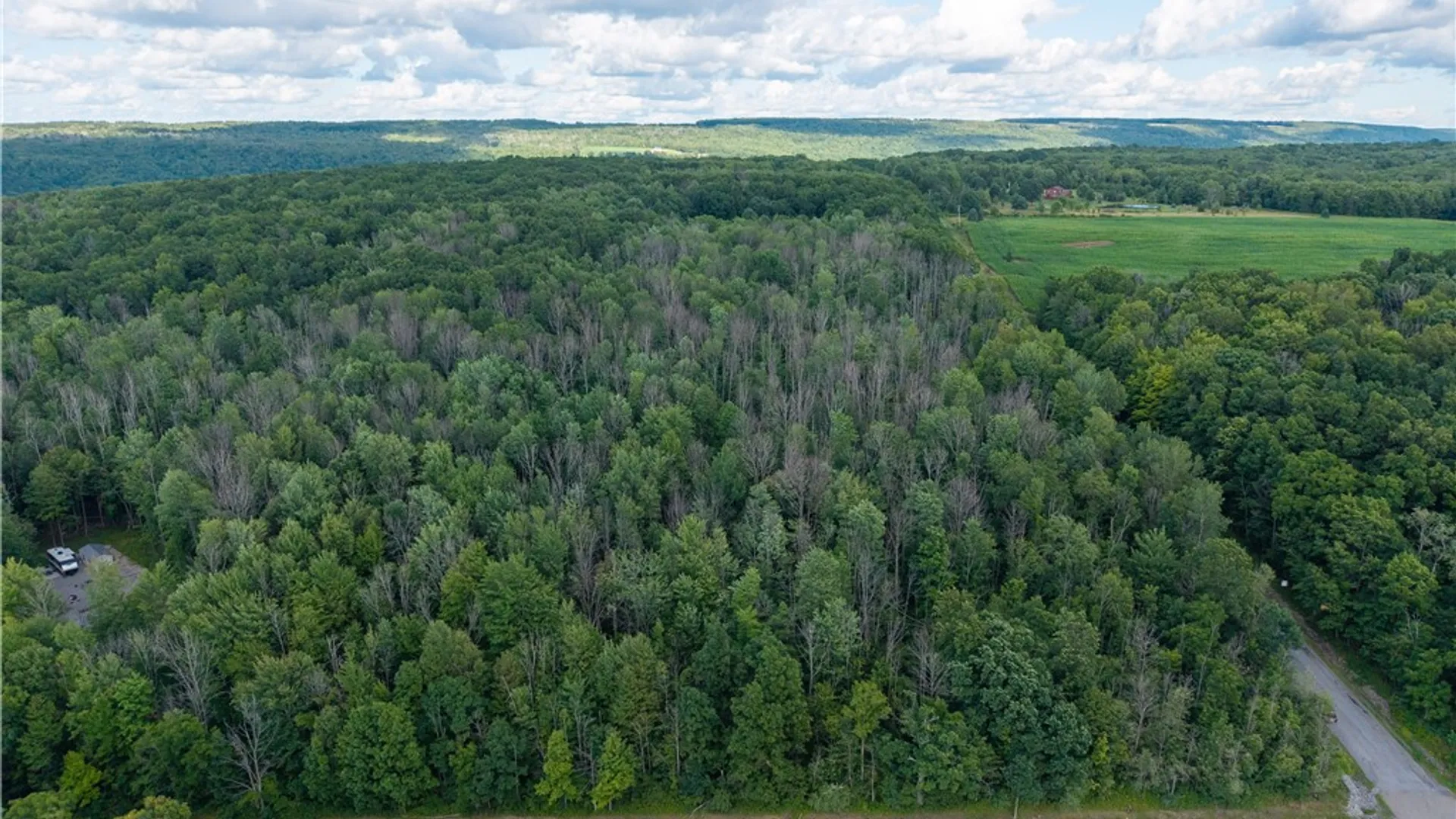 Property at 00 Stagecoach Road, Conesus, NY 14435 24