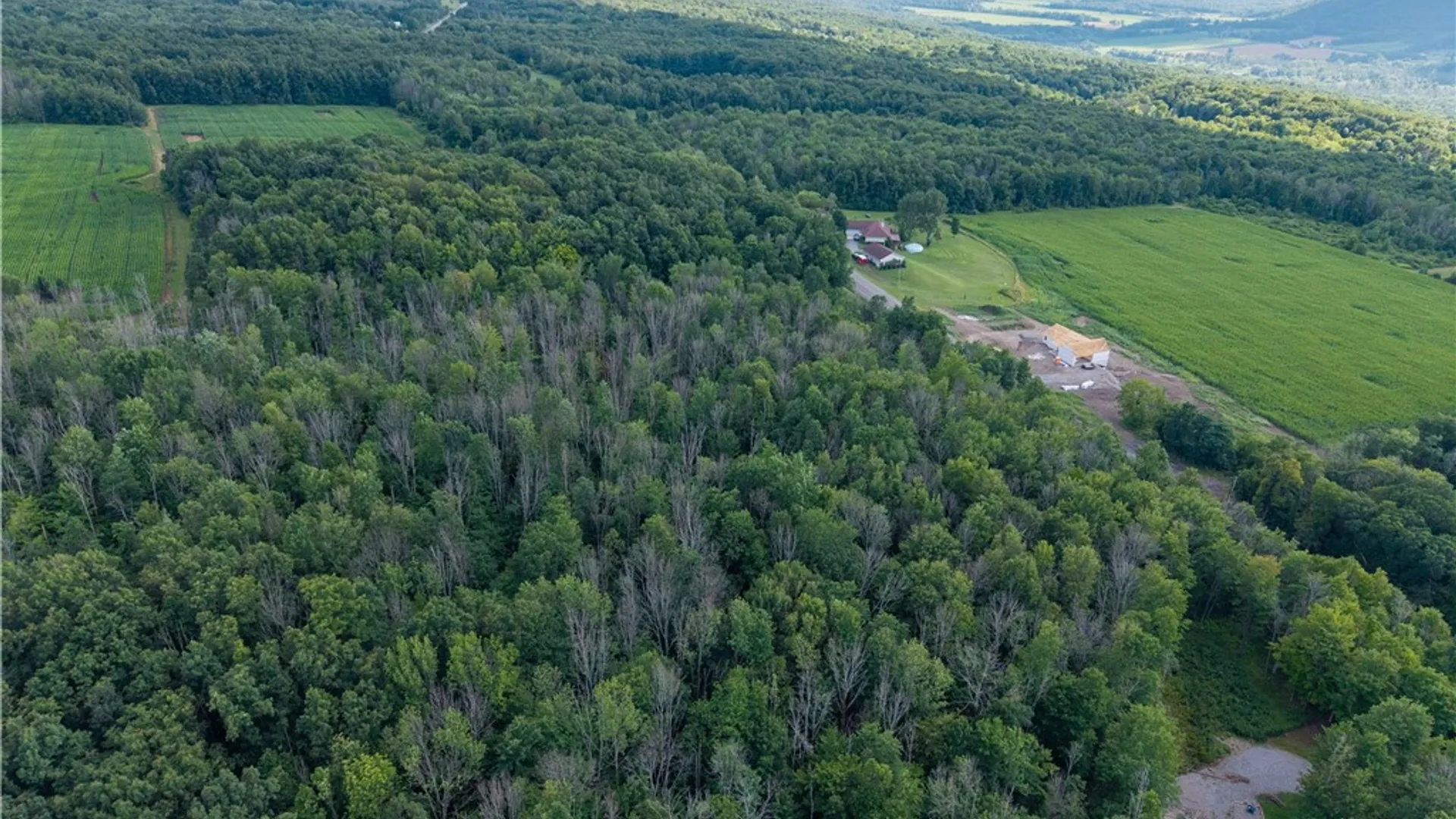 Property at 00 Stagecoach Road, Conesus, NY 14435 30