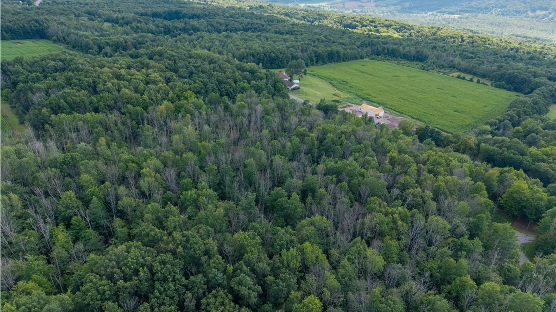 Property at 00 Stagecoach Road, Conesus, NY 14435 31