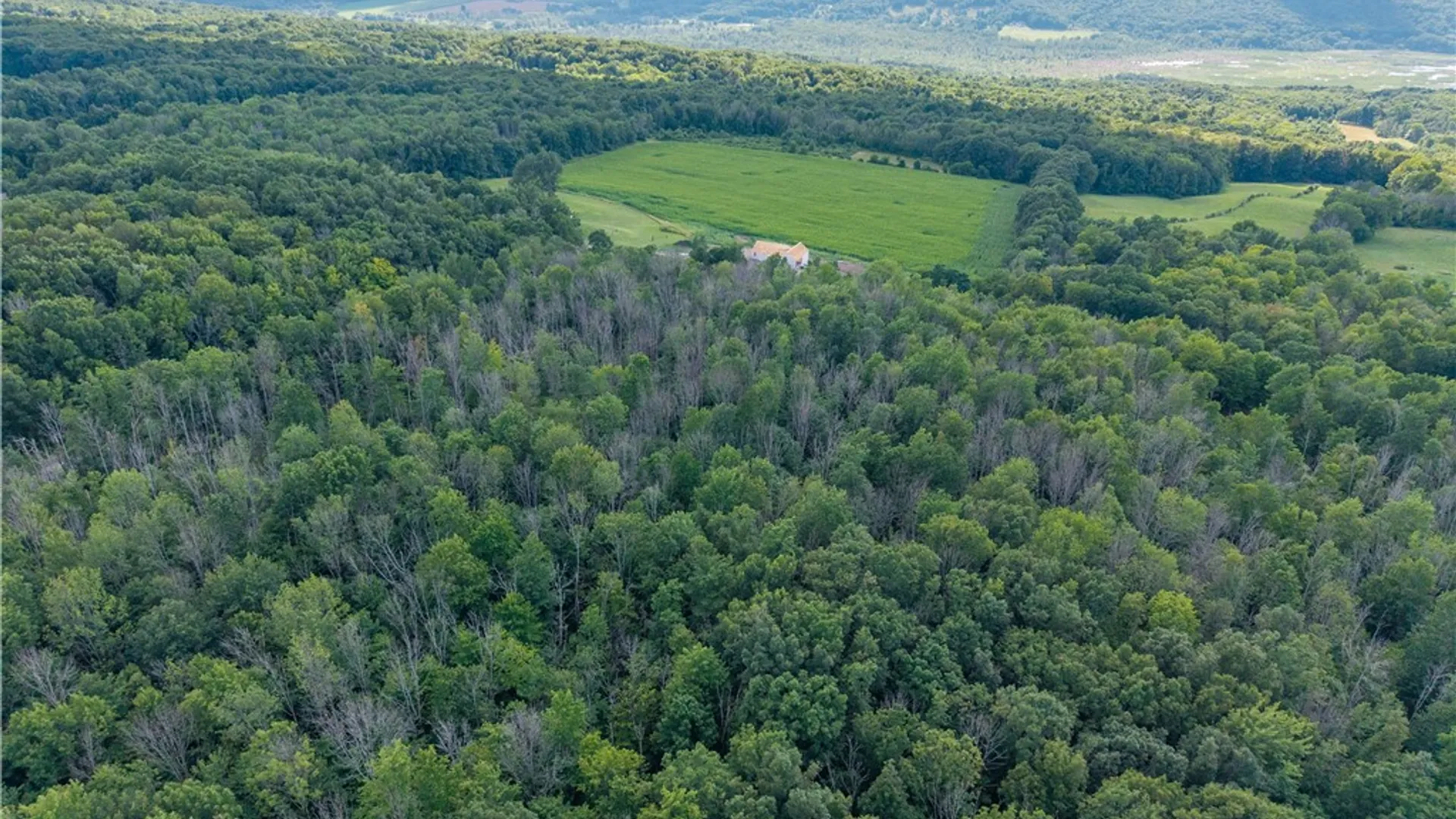 Property at 00 Stagecoach Road, Conesus, NY 14435 32
