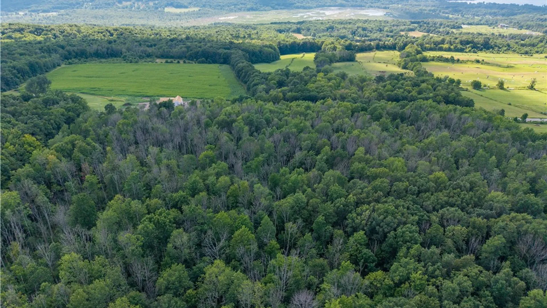 Property at 00 Stagecoach Road, Conesus, NY 14435 33