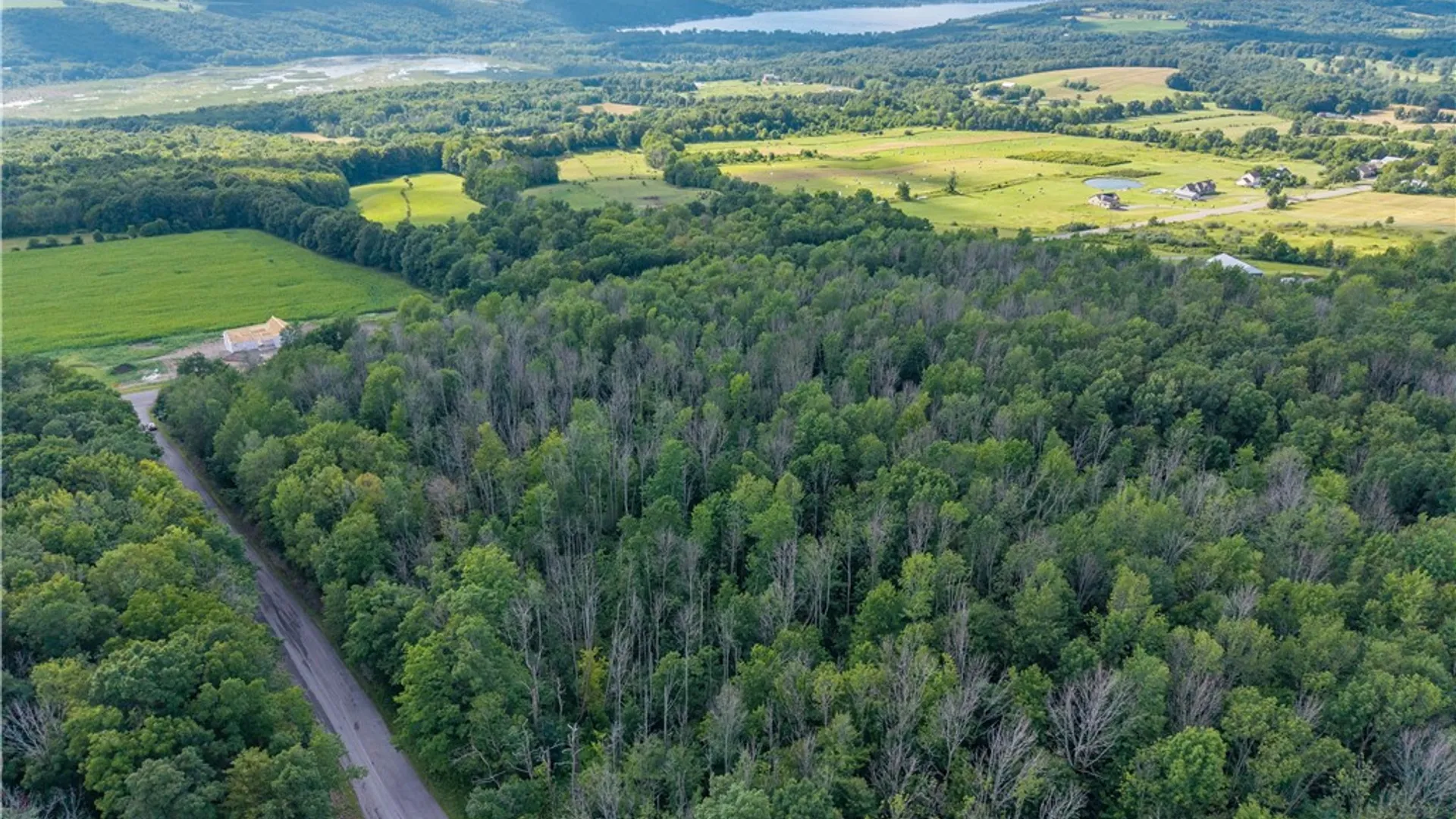 Property at 00 Stagecoach Road, Conesus, NY 14435 34