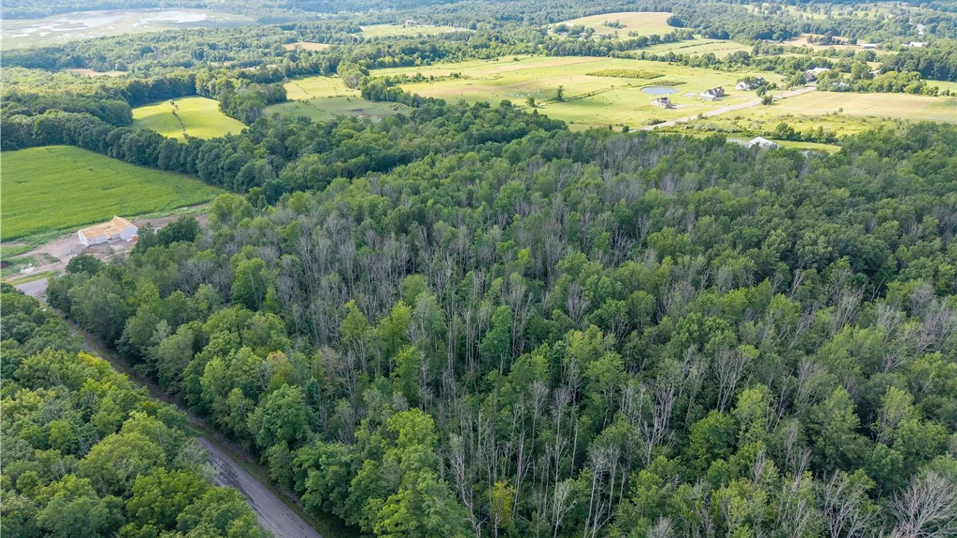 Property at 00 Stagecoach Road, Conesus, NY 14435 35