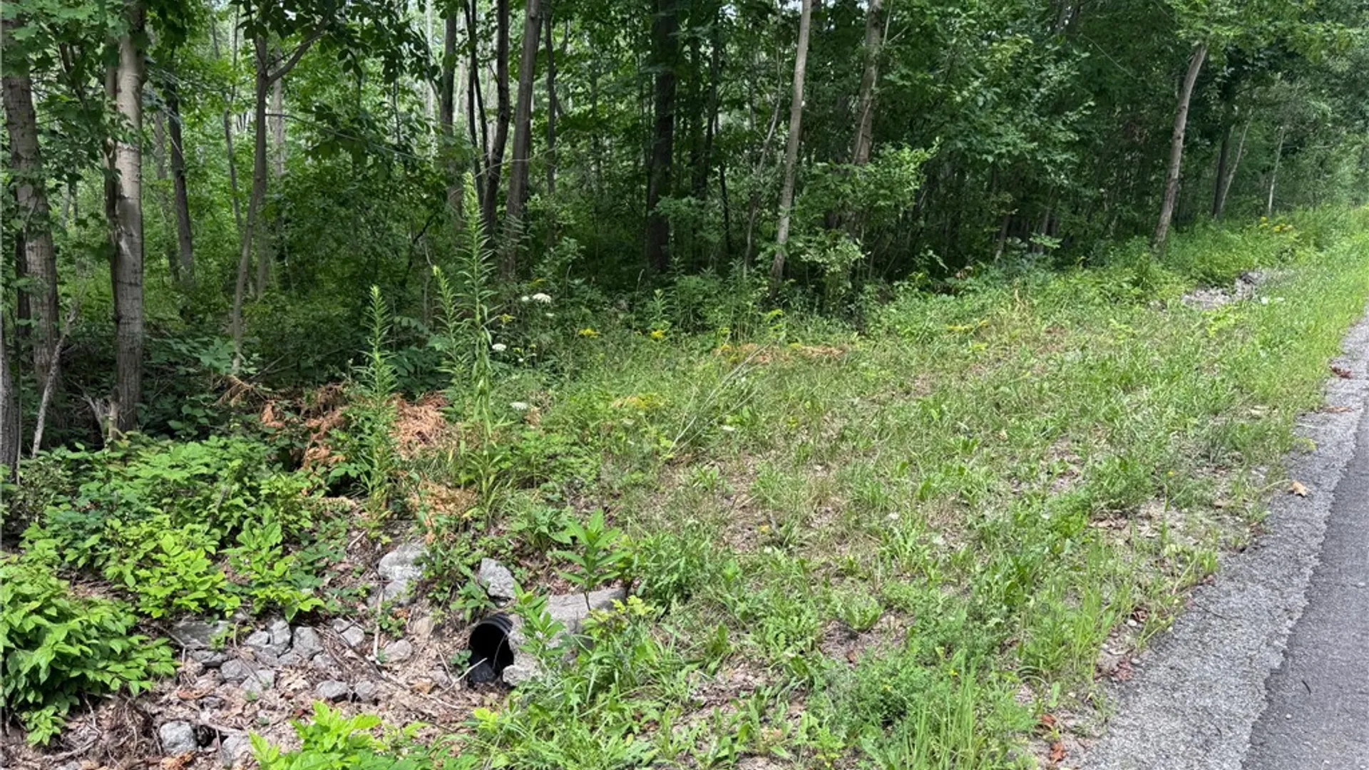 Property at 00 Stagecoach Road, Conesus, NY 14435 17