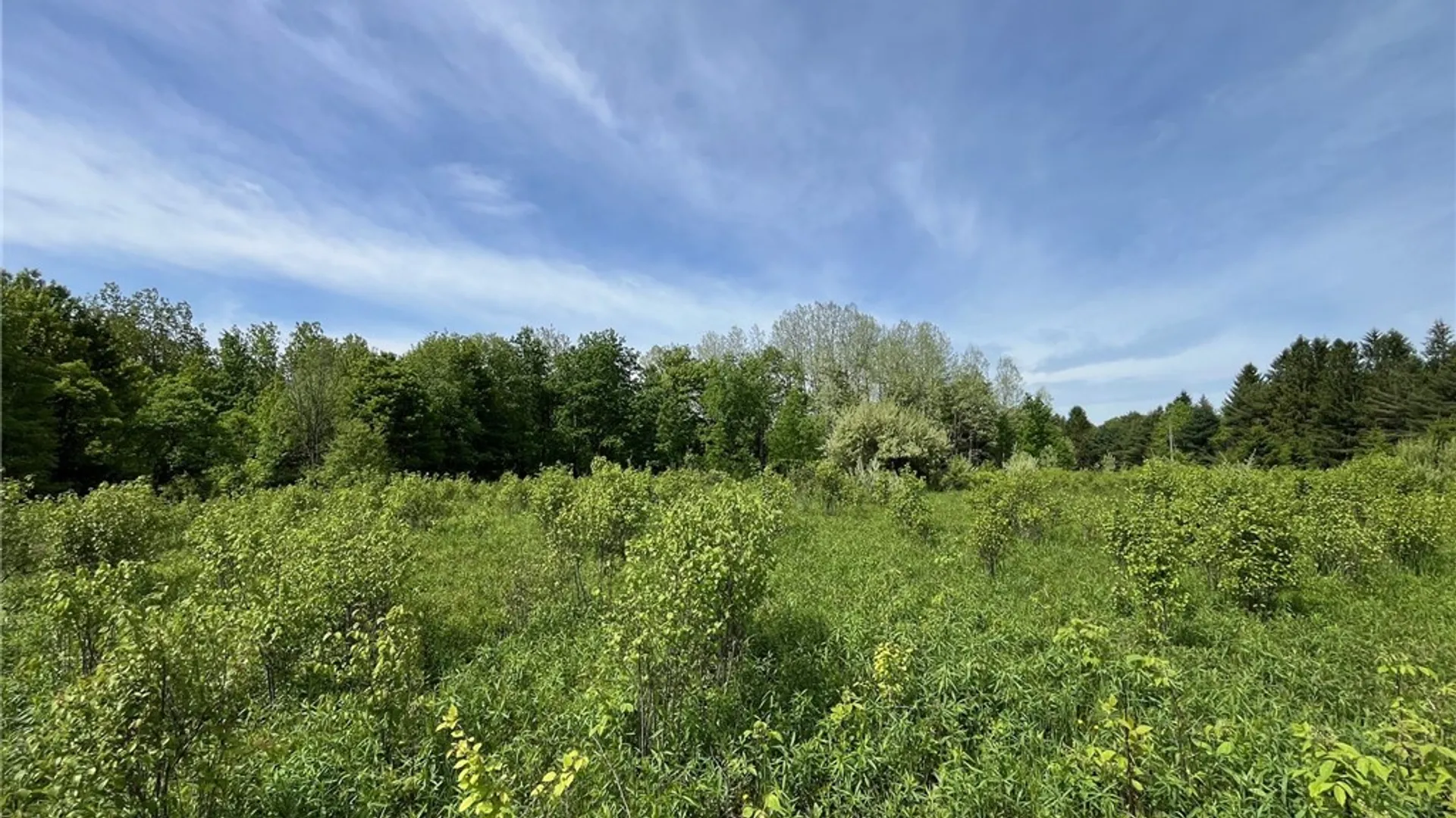 Property at 0 Fair View Road, Centerville, NY 14060 6