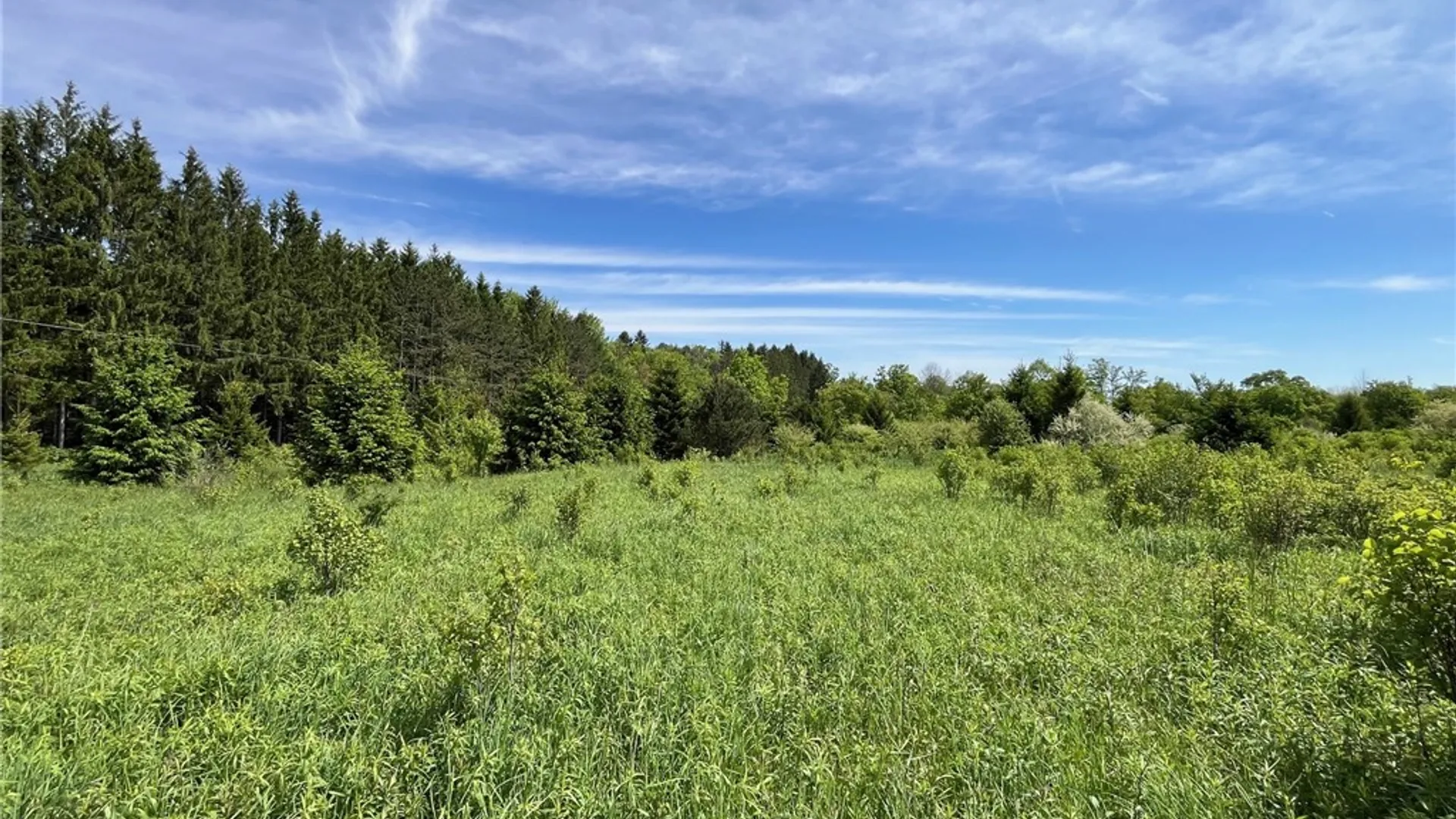 Property at 0 Fair View Road, Centerville, NY 14060 8