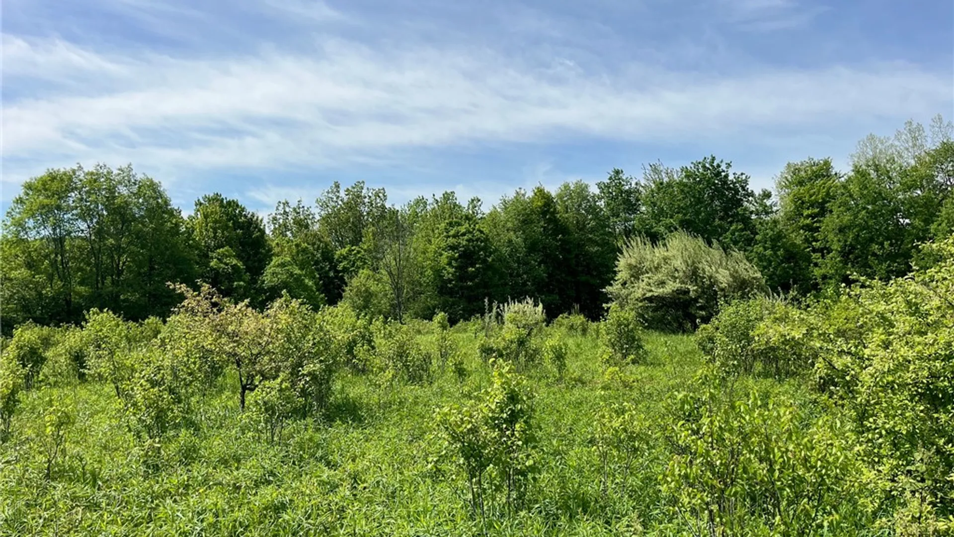 Property at 0 Fair View Road, Centerville, NY 14060 9