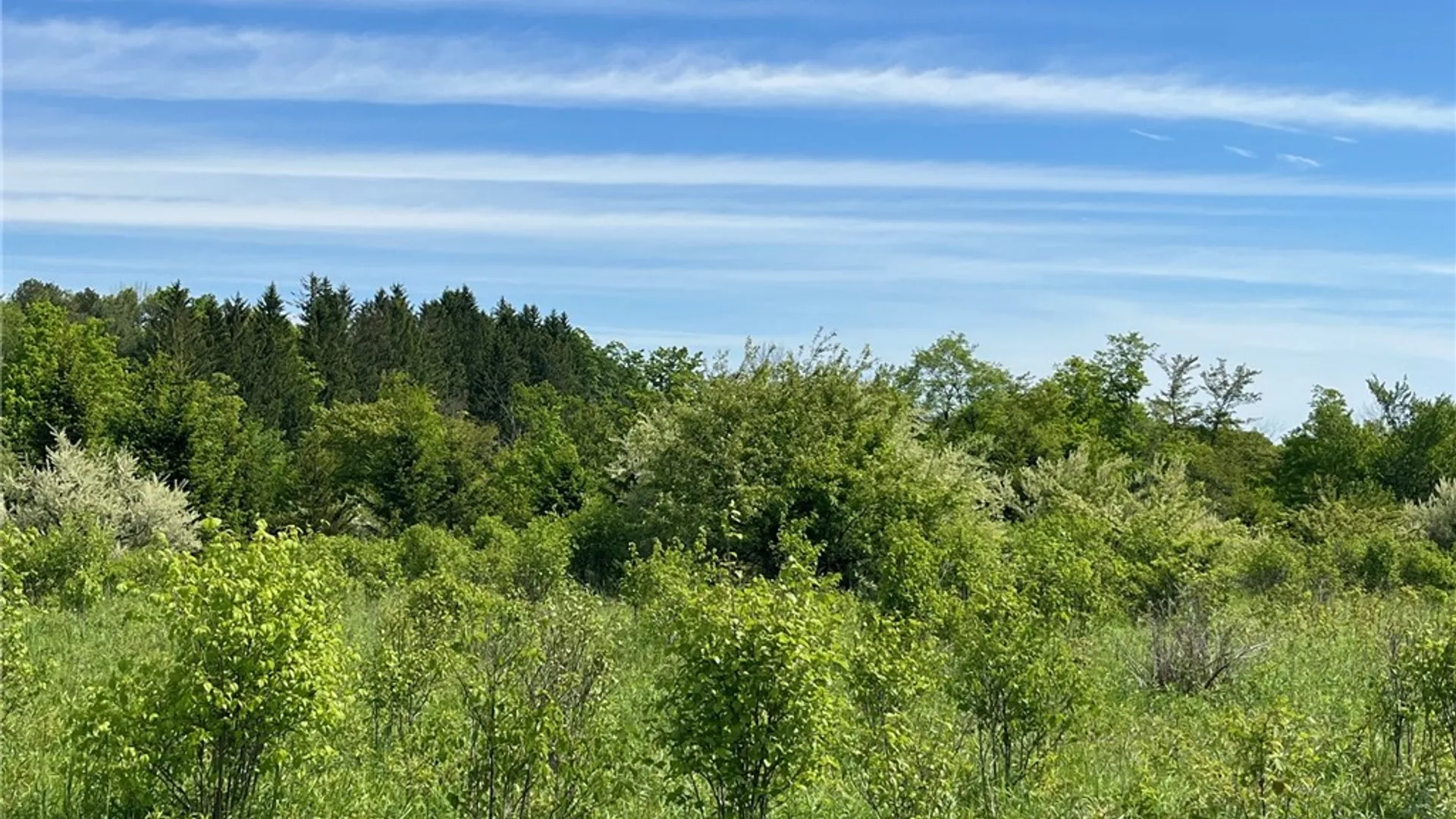 Property at 0 Fair View Road, Centerville, NY 14060 10