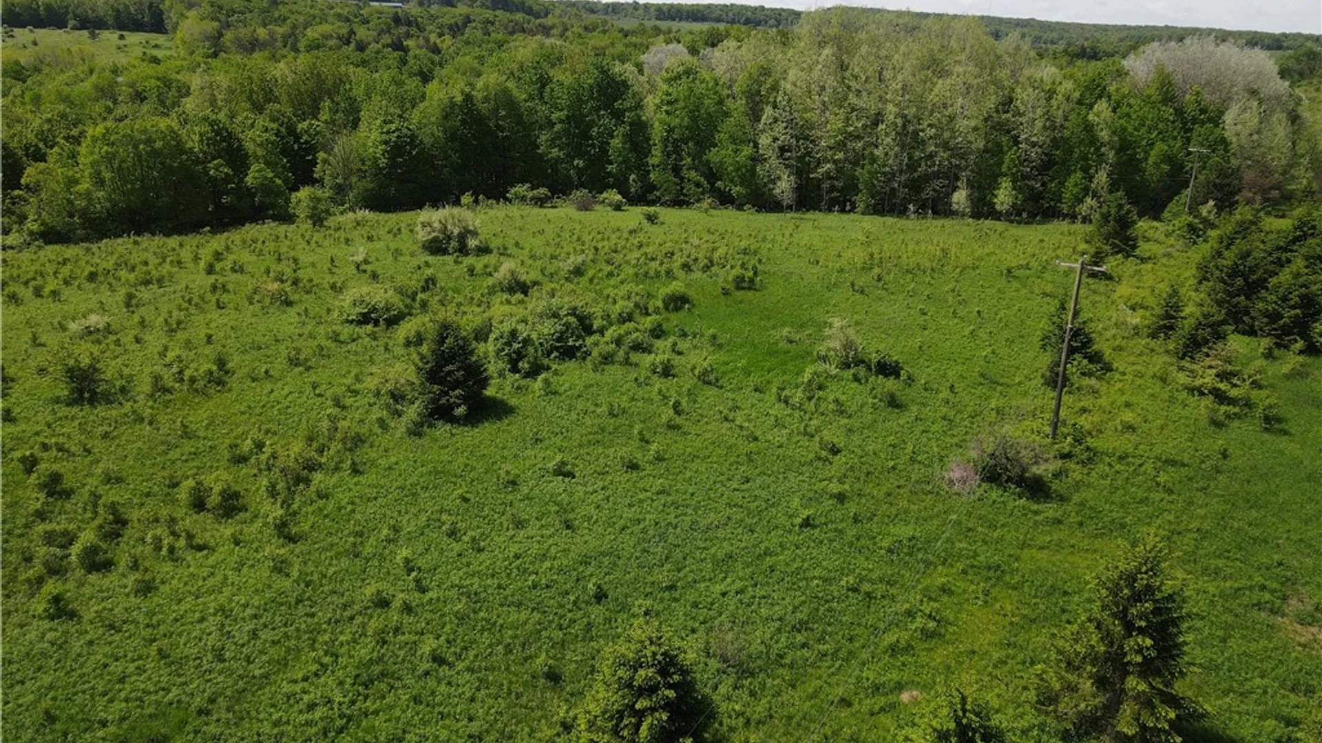 Property at 0 Fair View Road, Centerville, NY 14060 17