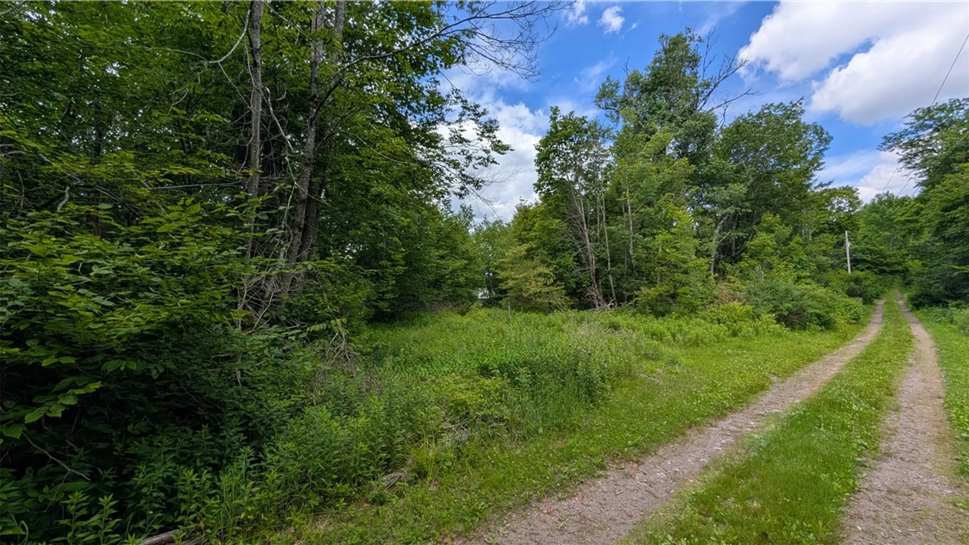 Property at 285 Davis Lane, Hamden, NY 13782 3