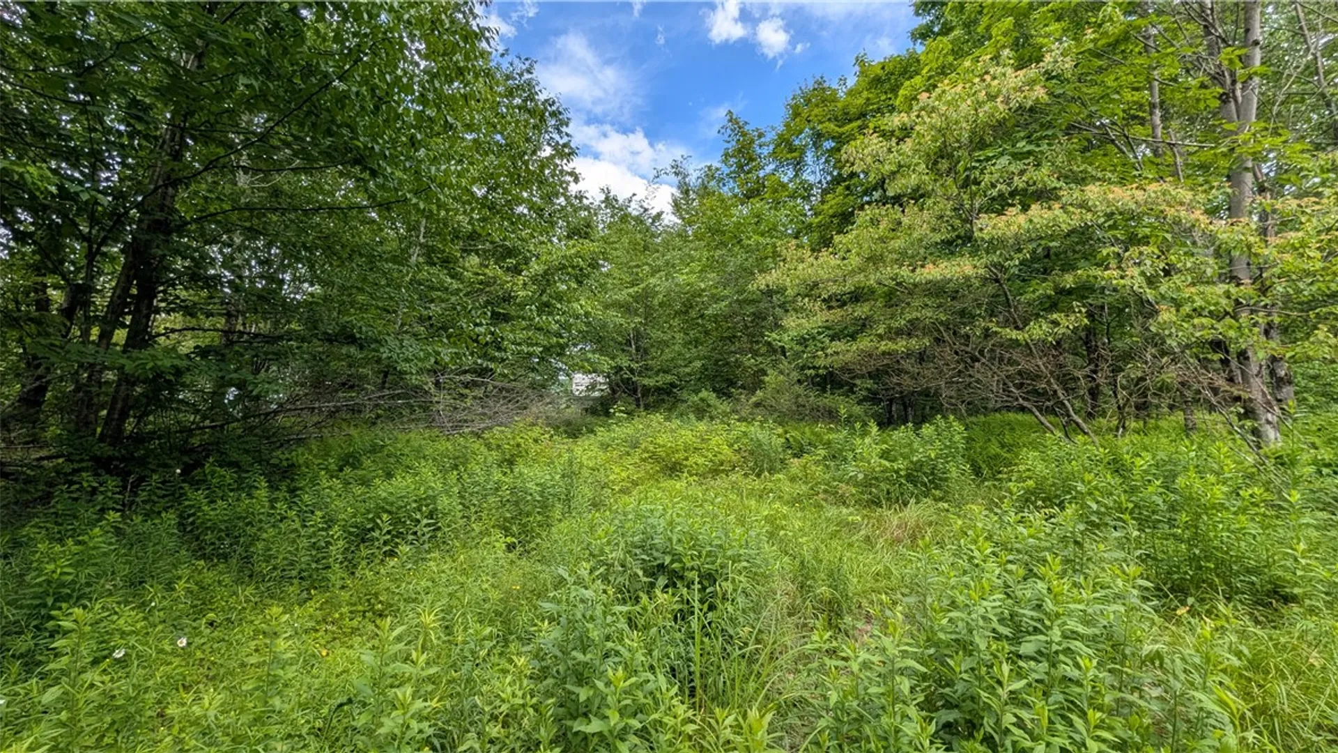 Property at 285 Davis Lane, Hamden, NY 13782 8