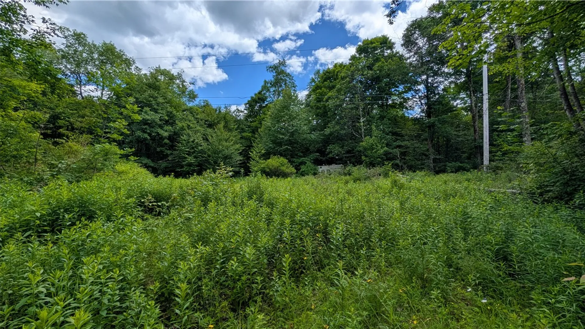 Property at 285 Davis Lane, Hamden, NY 13782 9