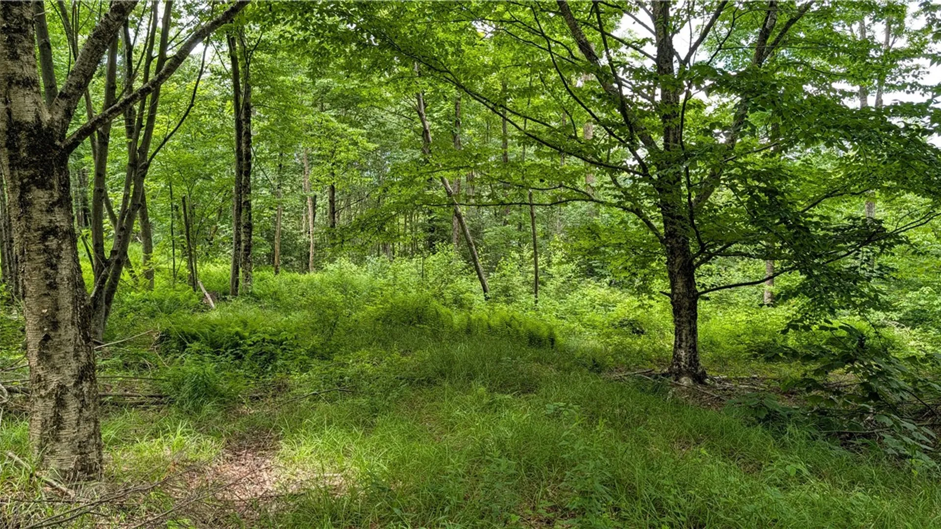 Property at 285 Davis Lane, Hamden, NY 13782 17