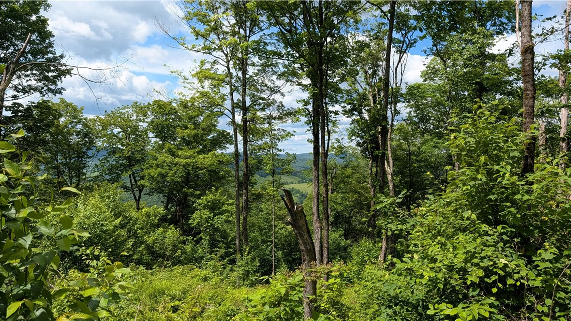 Property at 285 Davis Lane, Hamden, NY 13782 29