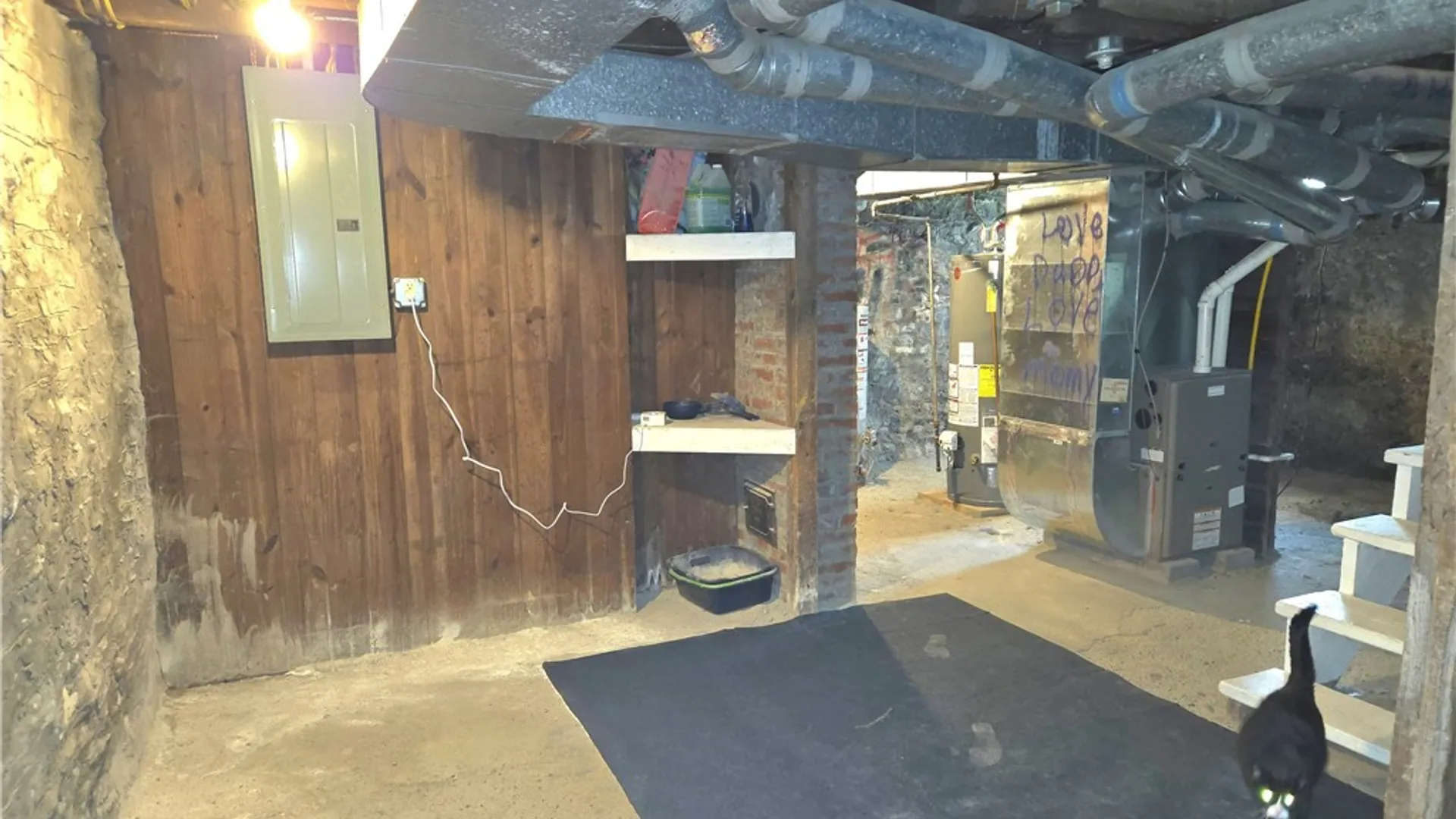 Property at 207 E William Street, Bath, NY 14810 43