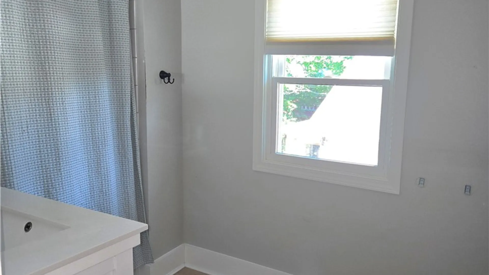 Property at 207 E William Street, Bath, NY 14810 37