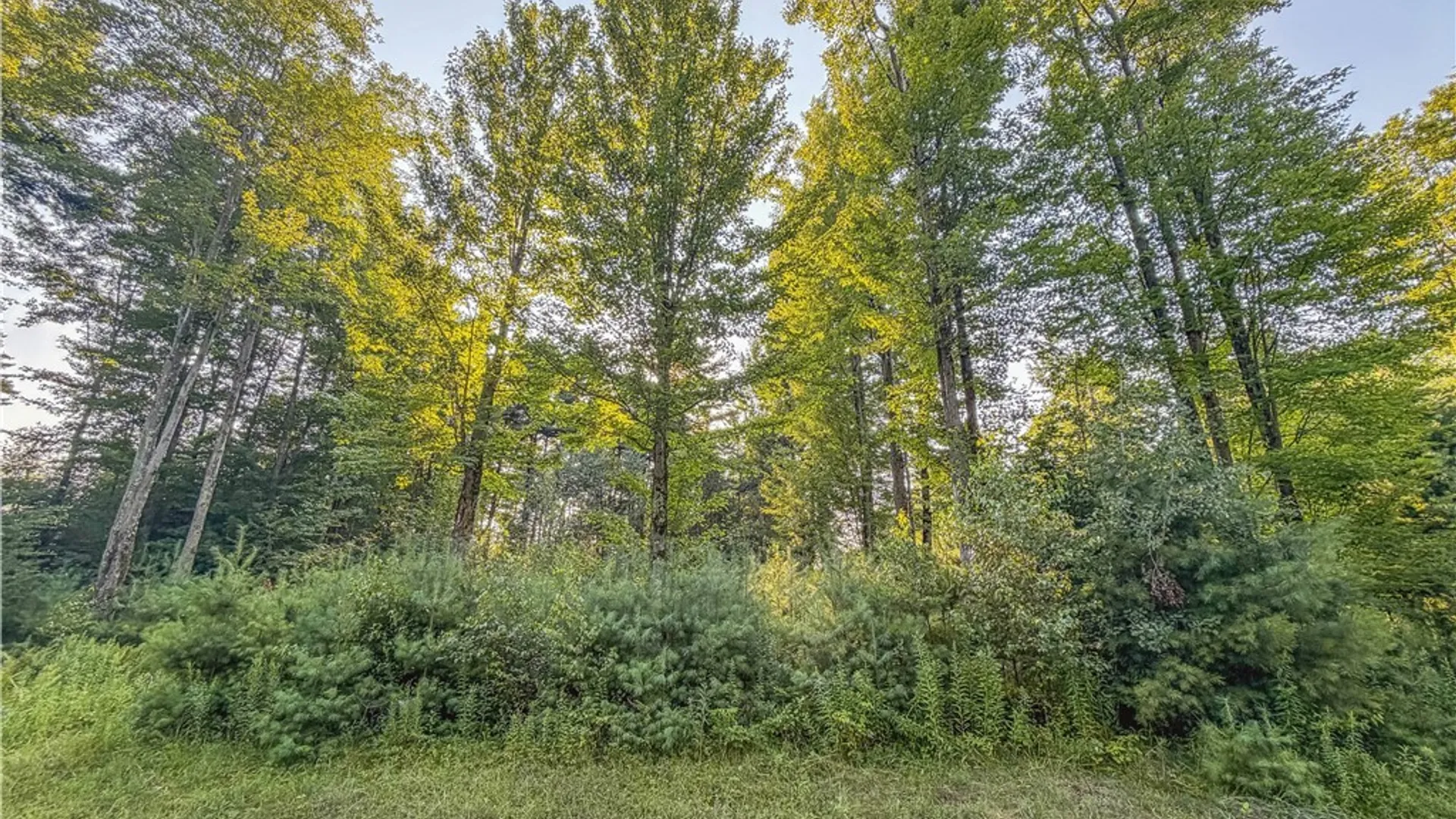 Property at 20467 Morin Lane, Hounsfield, NY 13685 9