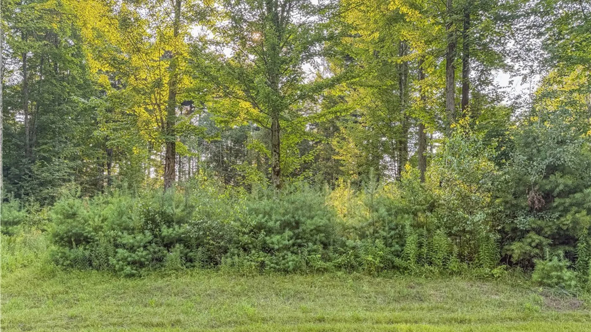 Property at 20467 Morin Lane, Hounsfield, NY 13685 10