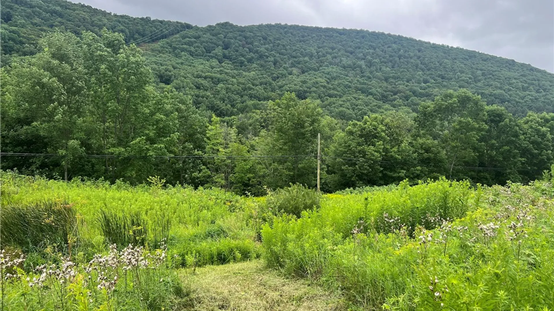 Property at State Hwy 28, Delhi, NY 13753 7