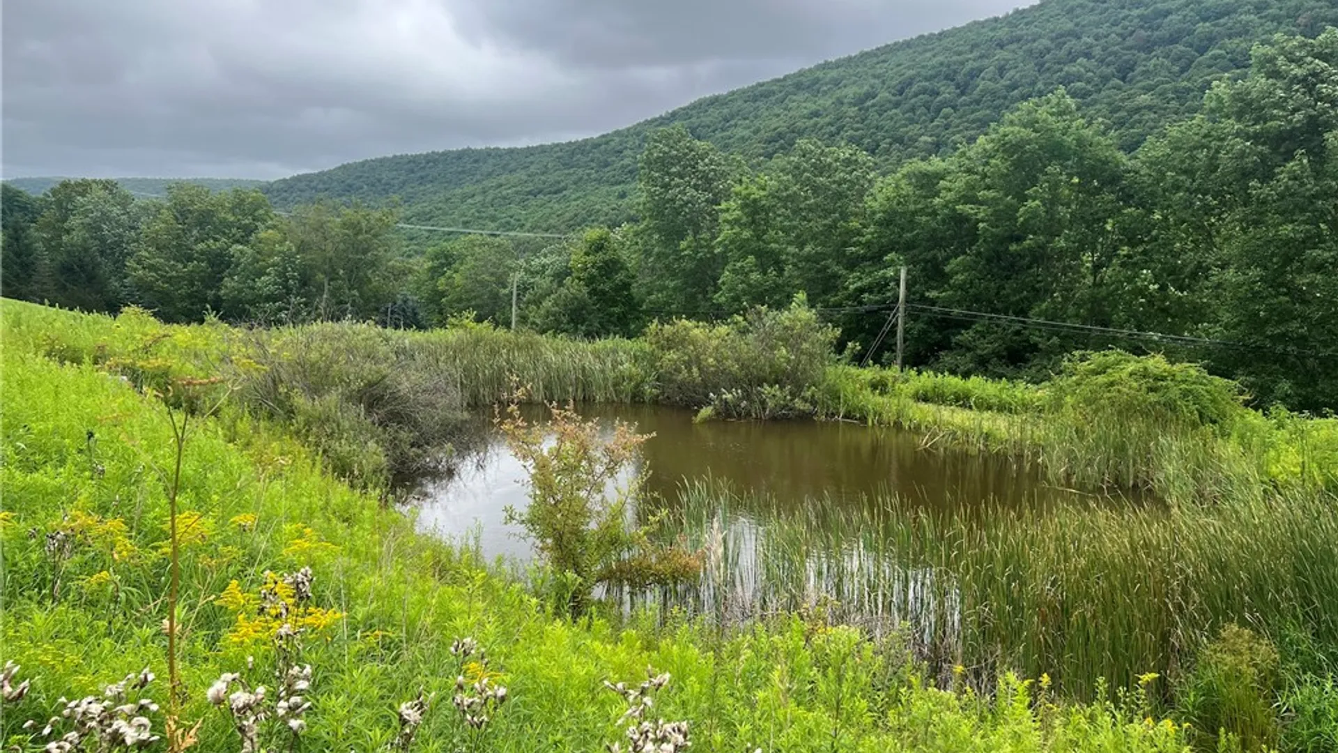 Property at State Hwy 28, Delhi, NY 13753 8
