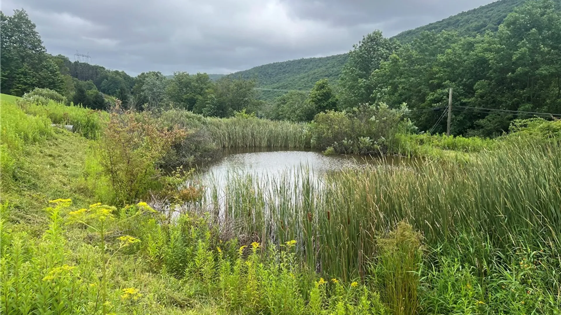 Property at State Hwy 28, Delhi, NY 13753 9
