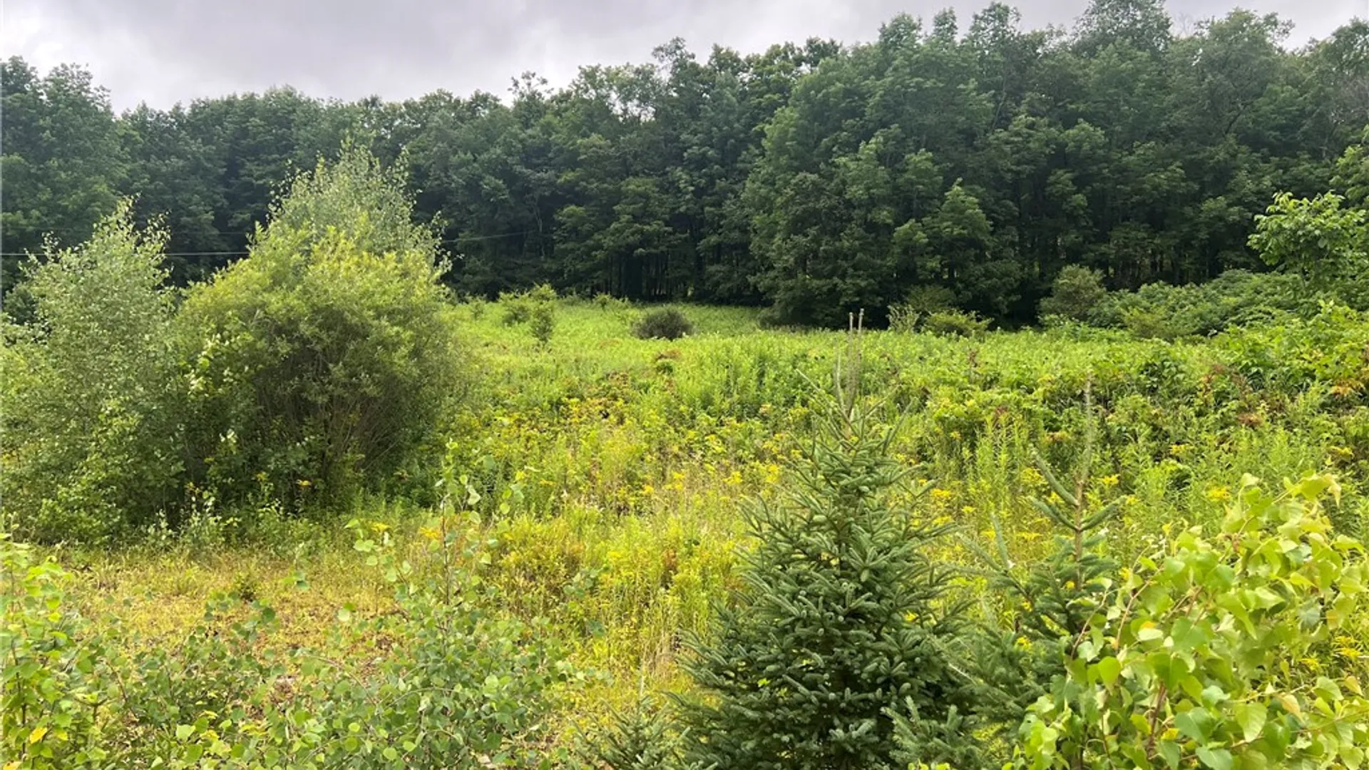 Property at State Hwy 28, Delhi, NY 13753 10