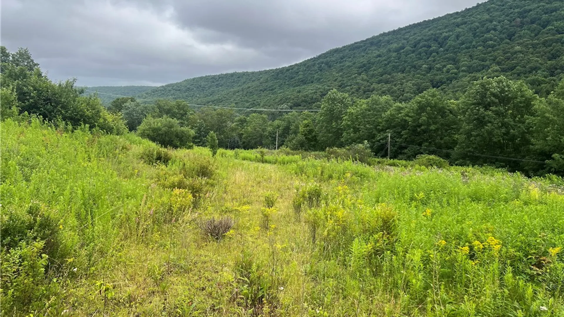 Property at State Hwy 28, Delhi, NY 13753 11