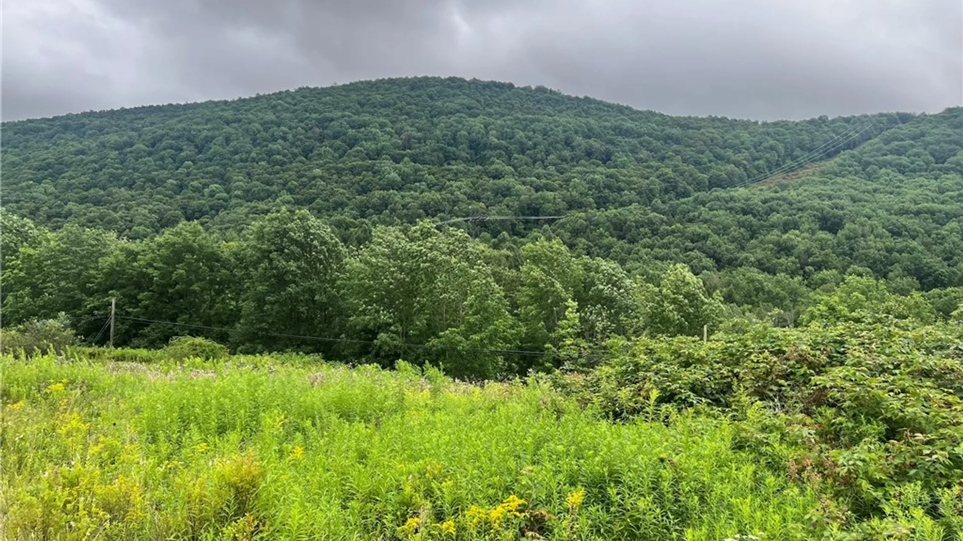 Property at State Hwy 28, Delhi, NY 13753 12