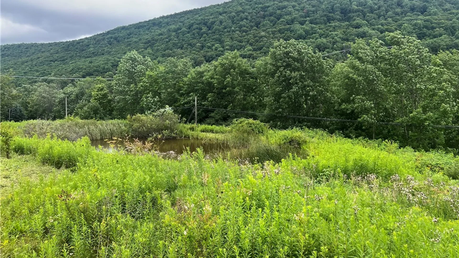 Property at State Hwy 28, Delhi, NY 13753 13