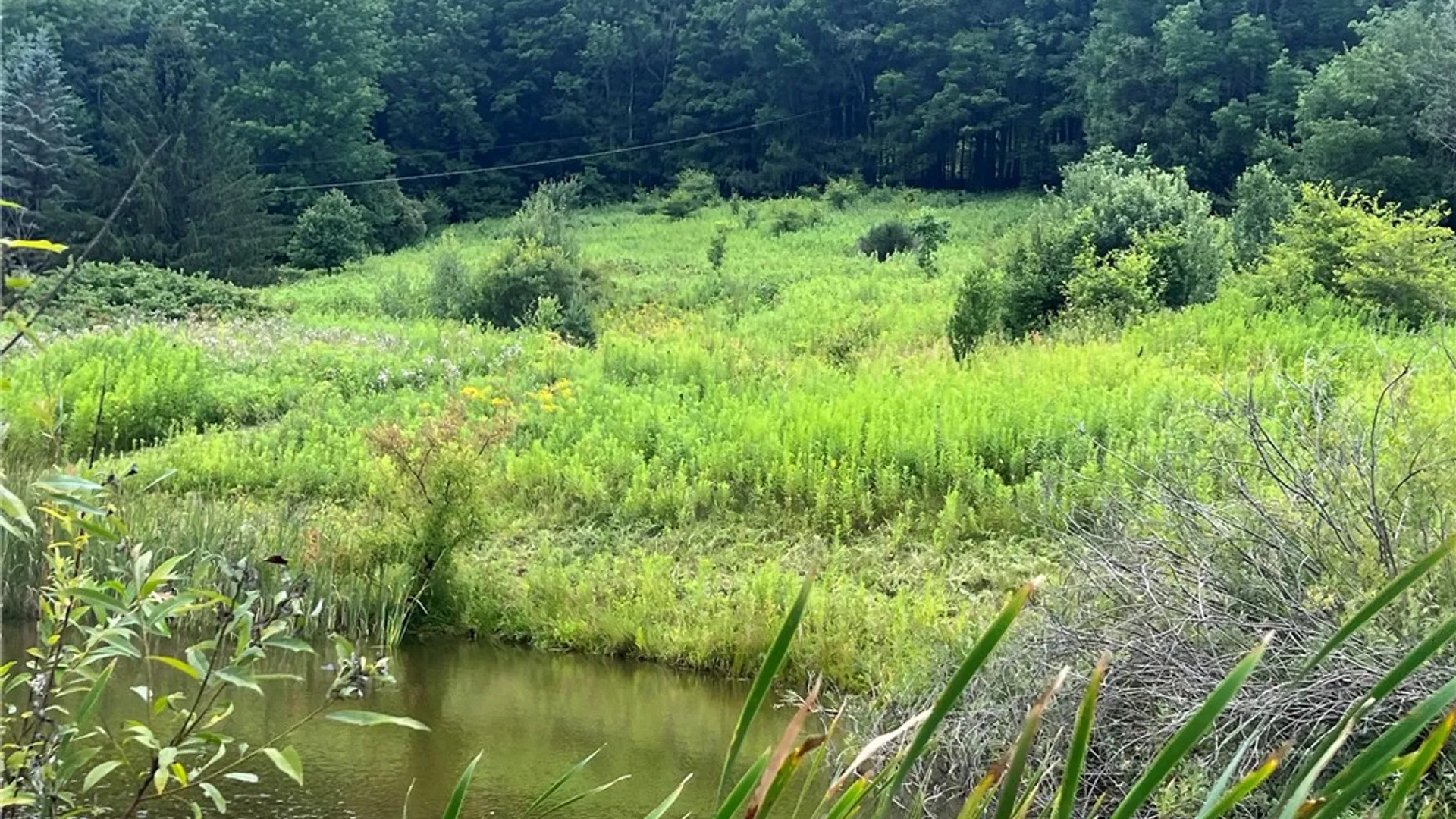 Property at State Hwy 28, Delhi, NY 13753 3