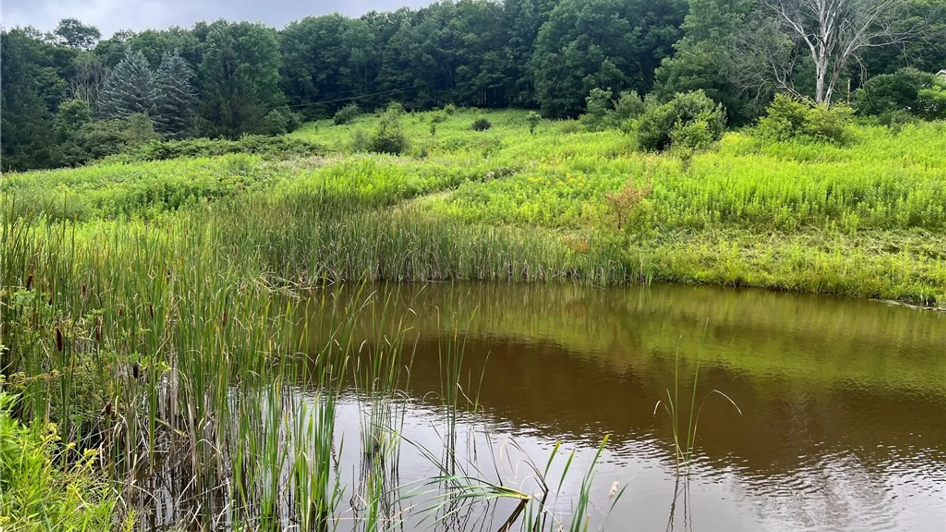 Property at State Hwy 28, Delhi, NY 13753 4