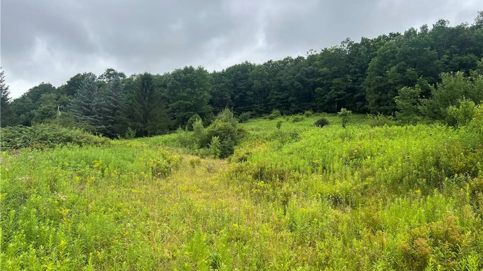 Property at State Hwy 28, Delhi, NY 13753 6