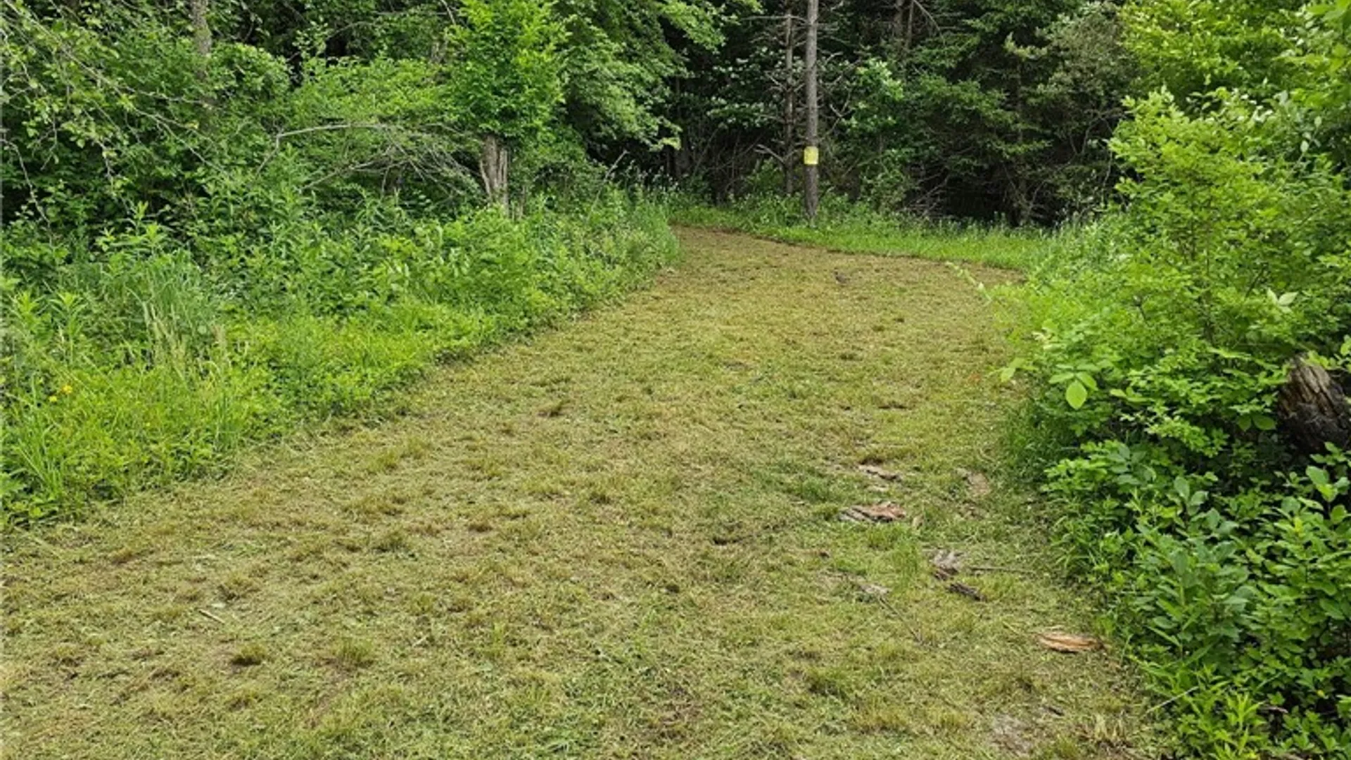 Property at Co Rd 15, Granger, NY 14735 15