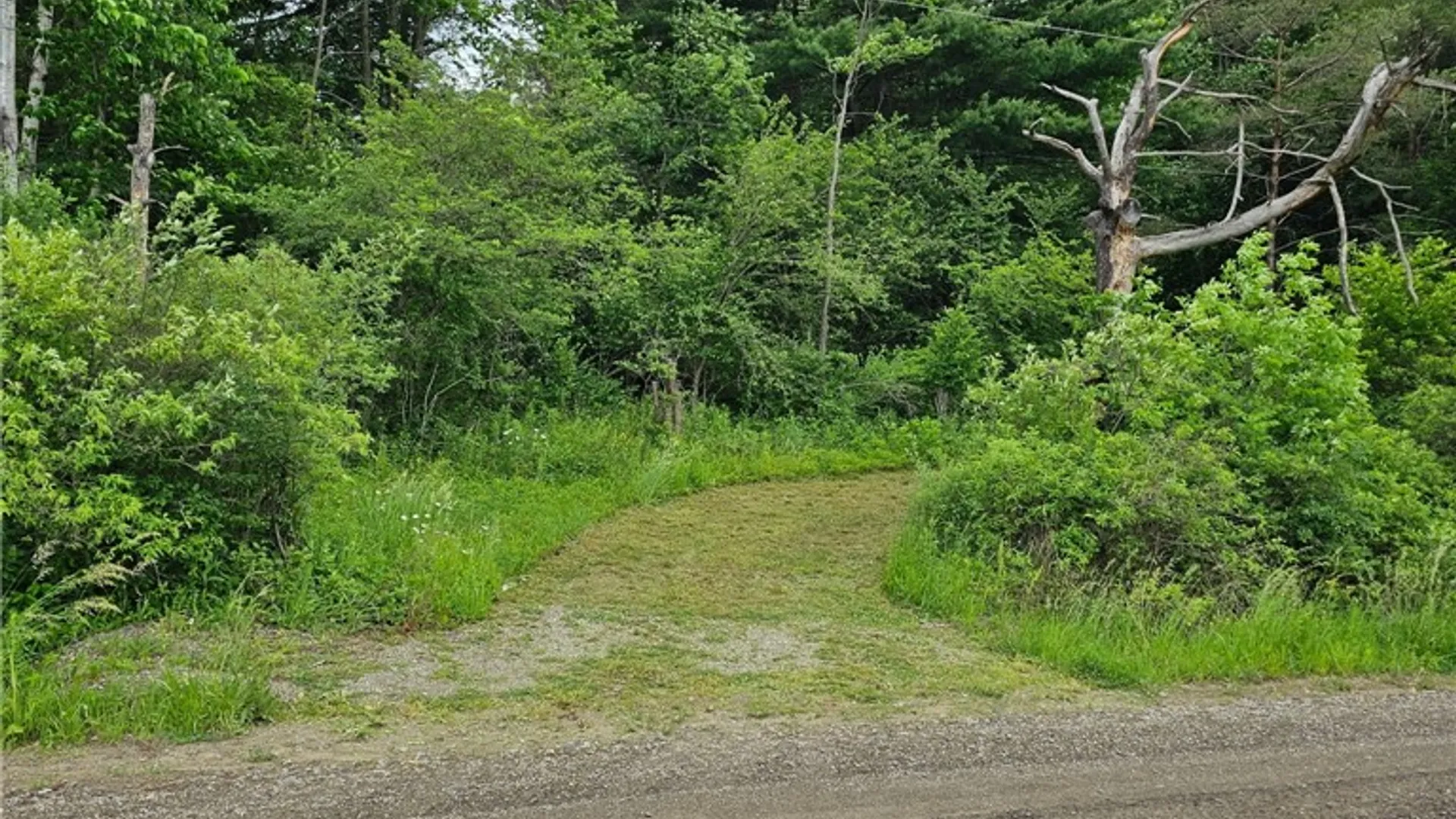 Property at Co Rd 15, Granger, NY 14735 17