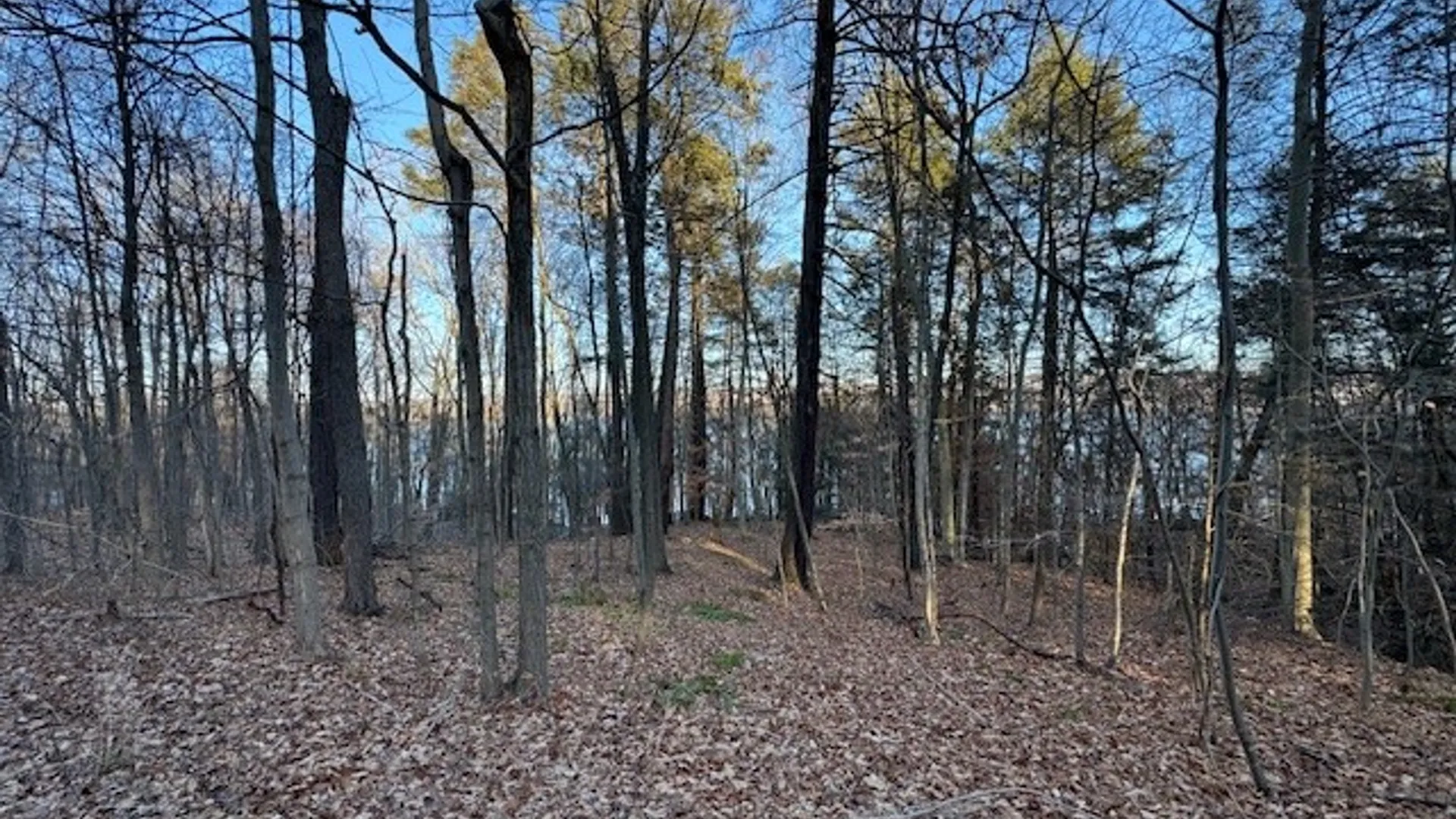 Property at 0 Maplewood Road, Ulysses, NY 14850 14