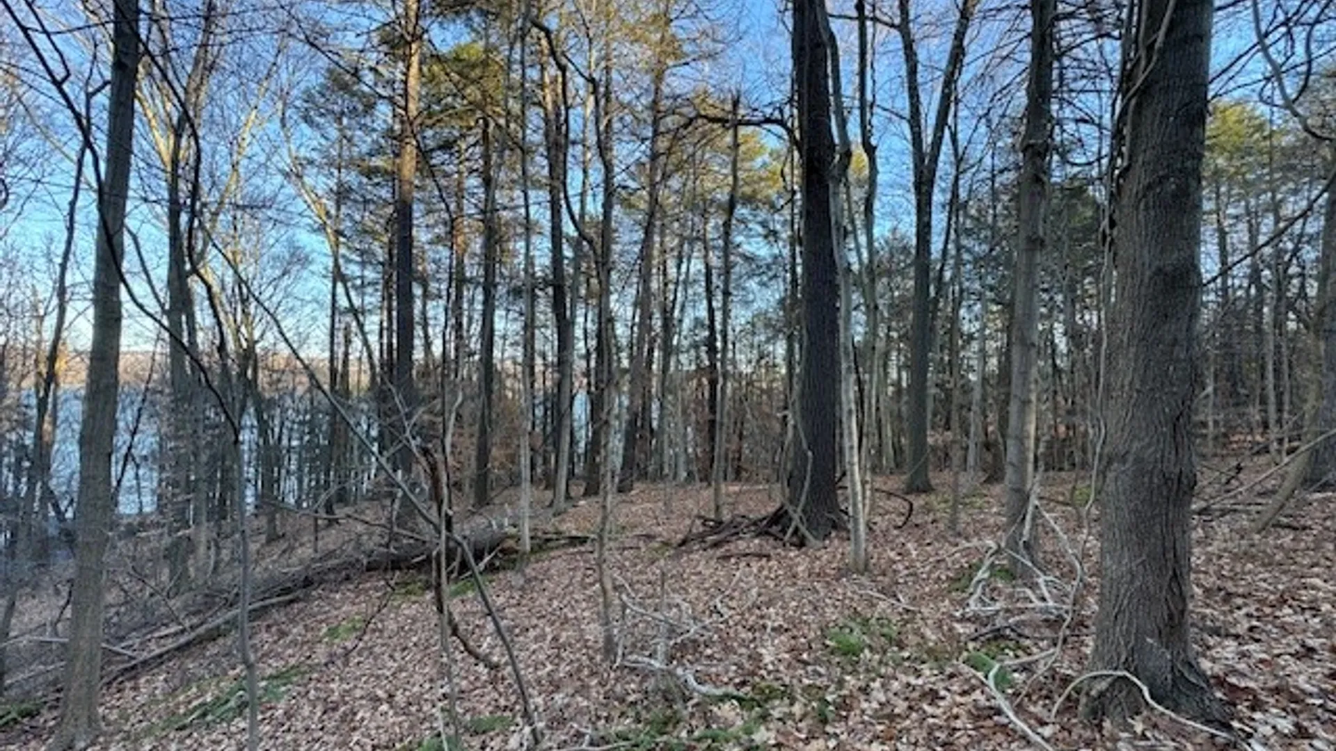Property at 0 Maplewood Road, Ulysses, NY 14850 15